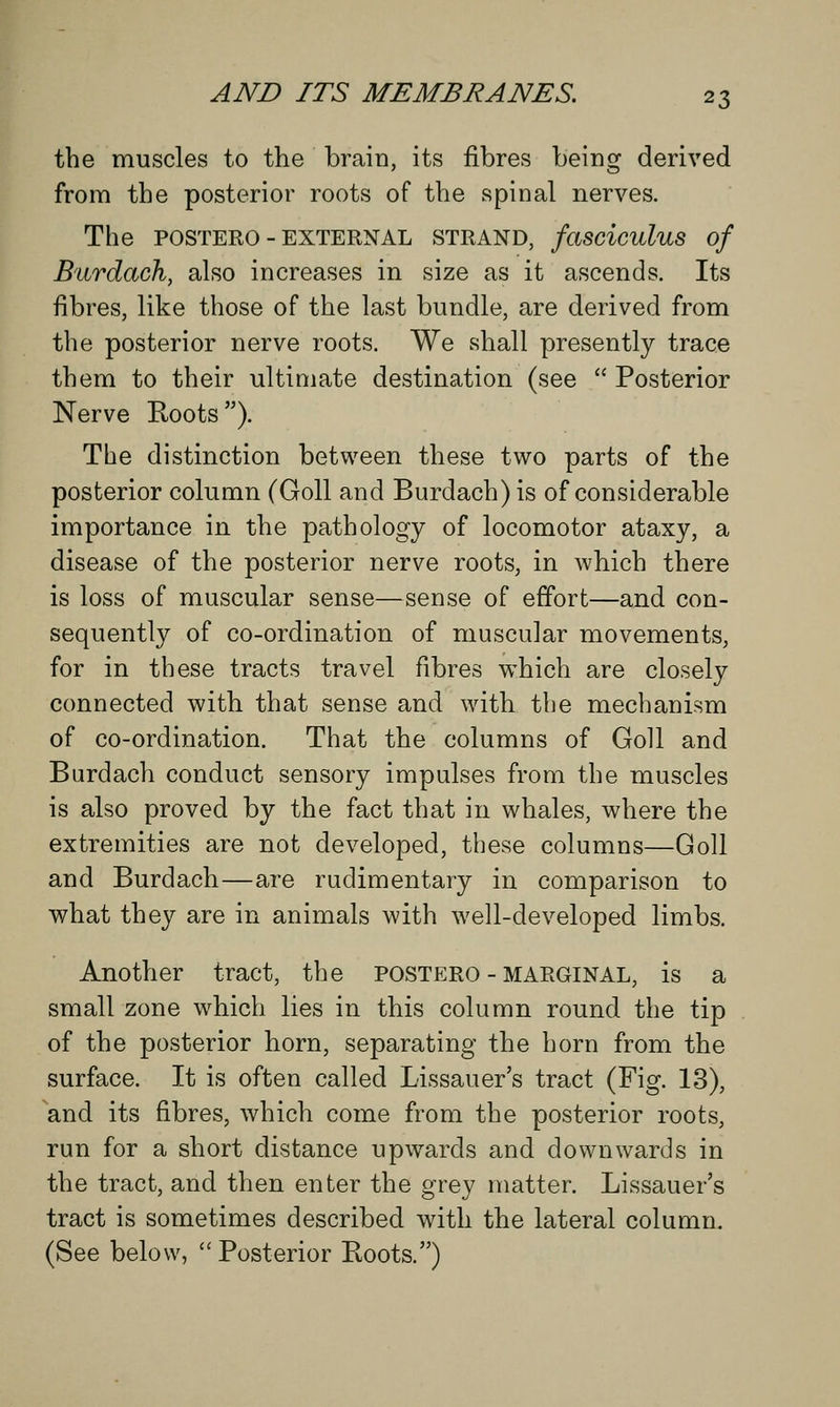 the muscles to the brain, its fibres being derived from the posterior roots of the spinal nerves. The POSTERO - EXTERNAL STRAND, fasciculus of Burdach, also increases in size as it ascends. Its fibres, like those of the last bundle, are derived from the posterior nerve roots. We shall presently trace them to their ultimate destination (see  Posterior Nerve Roots). The distinction between these two parts of the posterior column (Goll and Burdach) is of considerable importance in the pathology of locomotor ataxy, a disease of the posterior nerve roots, in which there is loss of muscular sense—sense of effort—and con- sequently of co-ordination of muscular movements, for in these tracts travel fibres which are closely connected with that sense and with the mechanism of co-ordination. That the columns of Goll and Burdach conduct sensory impulses from the muscles is also proved by the fact that in whales, where the extremities are not developed, these columns—Goll and Burdach—are rudimentary in comparison to what they are in animals with well-developed limbs. Another tract, the postero - marginal, is a small zone which lies in this column round the tip of the posterior horn, separating the horn from the surface. It is often called Lissauer's tract (Fig. 13), and its fibres, which come from the posterior roots, run for a short distance upwards and downwards in the tract, and then enter the grey matter. Lissauer's tract is sometimes described with the lateral column. (See below,  Posterior Roots.)