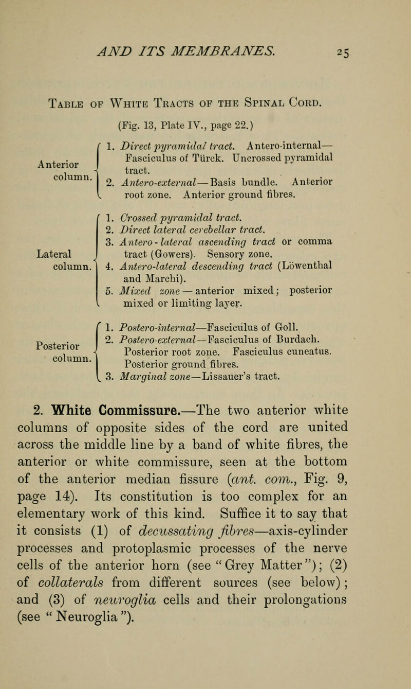 Table of White Tracts of the Spinal Cord. (Fig. 13, Plate IV., page 22.) Anterior cohimn. Lateral column. Posterior column. ' 1. Direct pyramidal trad. Antero-internal— Fasciculus of Tlirck. Uncrossed pyramidal tract. 2. Antero-external — Basis bundle. Anterior root zone. Anterior ground fibres. 1. Crossed pyramidal tract. 2. Direct lateral cerebellar tract. 3. Antero- lateral ascending tract or comma tract (Gowers). Sensory zone. 4. Antero-lateral descending tract (Lowentbal and Marchi). 5. Mixed zone — anterior mixed; posterior mixed or limiting layer. Postero-internal—Fasciculus of Goll. Posteroexternal—Fasciculus of Burdach. Posterior root zone. Fasciculus cuneatus. Posterior ground fibres. Marginal zone—Lissauer's tract. 2. White Commissure.—The two anterior white columns of opposite sides of the cord are united across the middle line by a band of white fibres, the anterior or white commissure, seen at the bottom of the anterior median fissure (ant. com., Fig. 9, page 14). Its constitution is too complex for an elementary work of this kind. Suffice it to say that it consists (1) of decussating fibres—axis-cylinder processes and protoplasmic processes of the nerve cells of the anterior horn (see Grey Matter); (2) of collaterals from different sources (see below); and (3) of neuroglia cells and their prolongations (see  Neuroglia ).