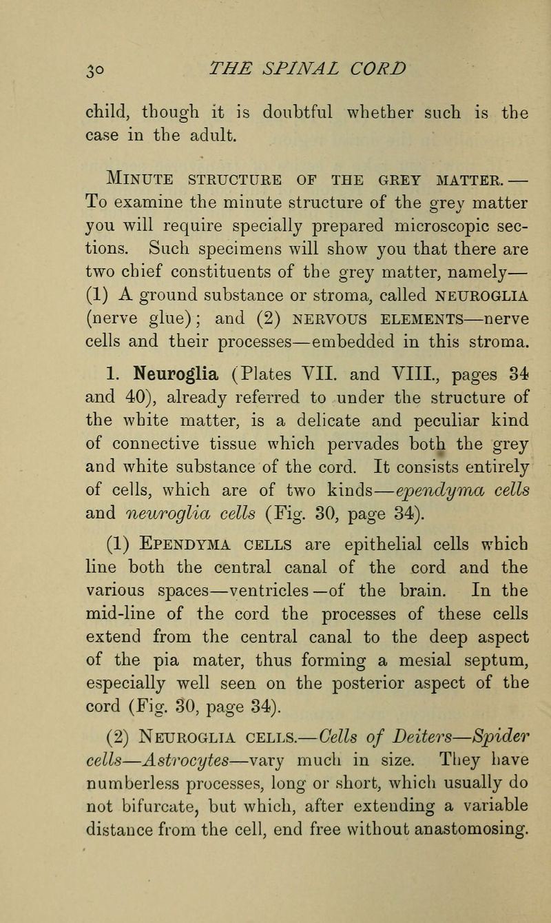 child, though it is doubtful whether such is the case in the adult. Minute structure of the grey matter.— To examine the minute structure of the grev matter you will require specially prepared microscopic sec- tions. Such specimens will show you that there are two chief constituents of the grey matter, namely— (1) A ground substance or stroma, called NEUROGLIA (nerve glue); and (2) NERVOUS ELEMENTS—nerve cells and their processes—embedded in this stroma. 1. Neuroglia (Plates VII. and VIII, pages 34 and 40), already referred to under the structure of the white matter, is a delicate and peculiar kind of connective tissue which pervades both the grey and white substance of the cord. It consists entirely of cells, which are of two kinds—ependyma cells and neuroglia cells (Fig. 30, page 34). (1) Ependyma cells are epithelial cells which line both the central canal of the cord and the various spaces—ventricles—of the brain. In the mid-line of the cord the processes of these cells extend from the central canal to the deep aspect of the pia mater, thus forming a mesial septum, especially well seen on the posterior aspect of the cord (Fig. 30, page 34). (2) Neuroglia cells.—Cells of Deiters—Spider cells—Astrocytes—vary much in size. They have numberless processes, long or short, whicli usually do not bifurcate, but which, after extending a variable distance from the cell, end free without anastomosing.