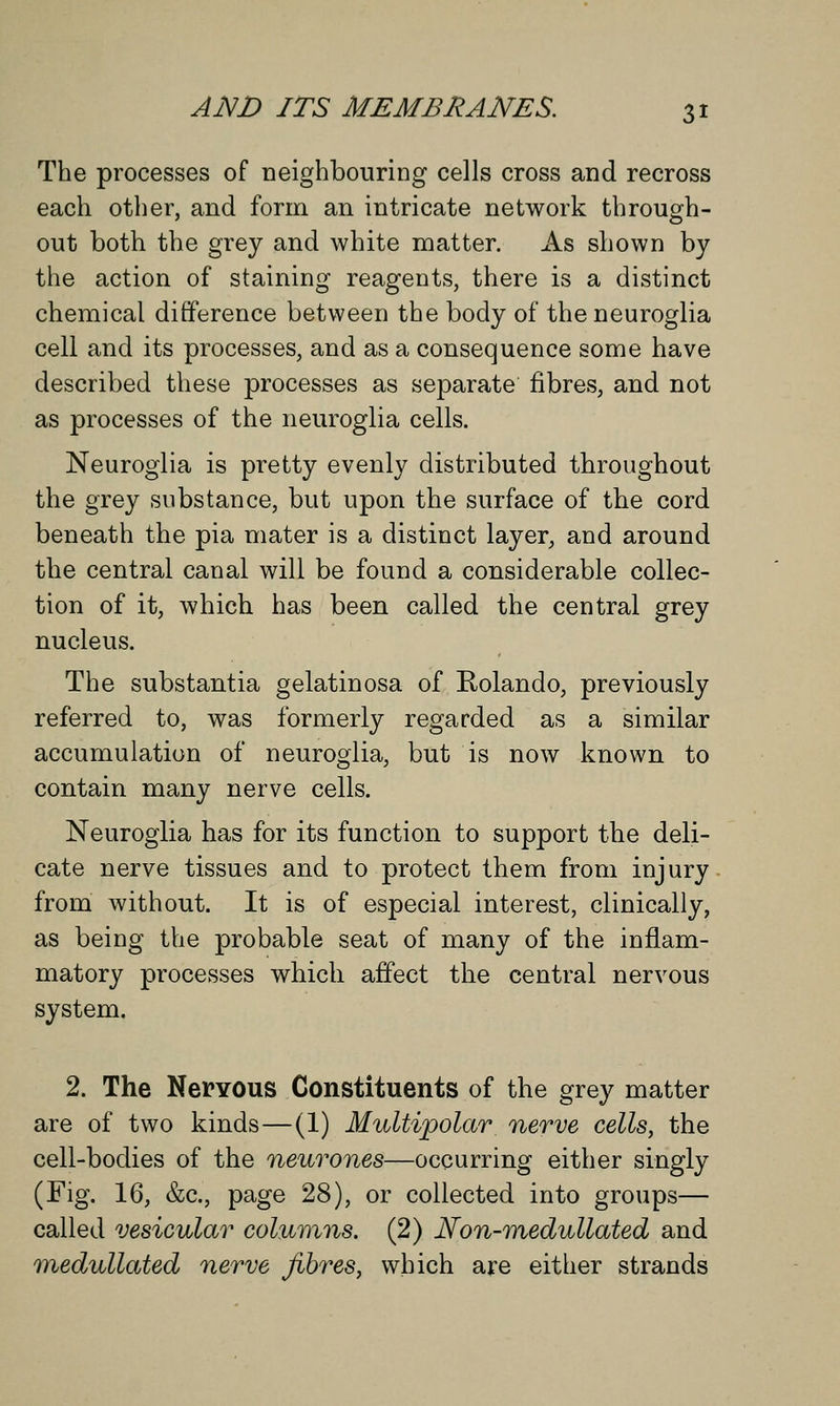 The processes of neighbouring cells cross and recross each other, and form an intricate network through- out both the grey and white matter. As shown by the action of staining reagents, there is a distinct chemical difference between the body of the neuroglia cell and its processes, and as a consequence some have described these processes as separate fibres, and not as processes of the neuroglia cells. Neuroglia is pretty evenly distributed throughout the grey substance, but upon the surface of the cord beneath the pia mater is a distinct layer, and around the central canal will be found a considerable collec- tion of it, which has been called the central grey nucleus. The substantia gelatinosa of Rolando, previously referred to, was formerly regarded as a similar accumulation of neuroglia, but is now known to contain many nerve cells. Neuroglia has for its function to support the deli- cate nerve tissues and to protect them from injury from without. It is of especial interest, clinically, as being the probable seat of many of the inflam- matory processes which affect the central nervous system. 2. The Nervous Constituents of the grey matter are of two kinds—(1) Multipolar nerve cells, the cell-bodies of the neurones—occurring either singly (Fig. 16, &c, page 28), or collected into groups— called vesicular columns. (2) Non-medullated and medullated nerve fibres, which are either strands