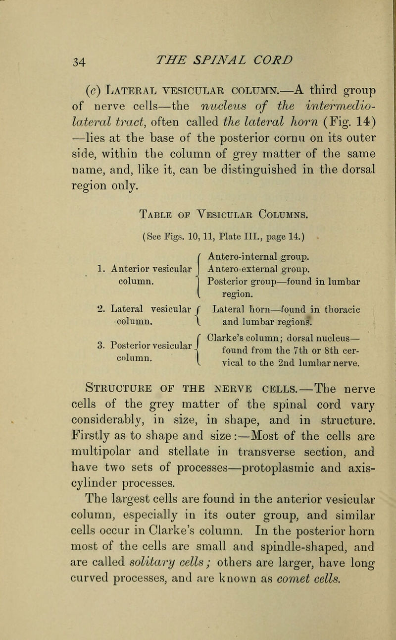 (c) Lateral vesicular column.—A third group of nerve cells—the nucleus of the intermedio- lateral tract, often called the lateral horn (Fig. 14) —lies at the base of the posterior corn a on its outer side, within the column of grey matter of the same name, and, like it, can be distinguished in the dorsal region only. Table op Vesicular Columns. (See Figs. 10, 11, Plate III., page 14.) ( Antero-internal group. 1. Anterior vesicular J Antero-external group. column. ] Posterior group—found in lumbar I region. 2. Lateral vesicular f Lateral horn—found in thoracic column. \ and lumbar regions. ( Clarke's column; dorsal nucleus— 3' column VeSiCUlar 1 found from the 7th or 8th cer v. vical to the 2nd lumbar nerve. Structure of the nerve cells.—The nerve cells of the grey matter of the spinal cord vary considerably, in size, in shape, and in structure. Firstly as to shape and size :—Most of the cells are multipolar and stellate in transverse section, and have two sets of processes—protoplasmic and axis- cylinder processes. The largest cells are found in the anterior vesicular column, especially in its outer group, and similar cells occur in Clarke's column. In the posterior horn most of the cells are small and spindle-shaped, and are called solitary cells ; others are larger, have long curved processes, and are known as comet cells.