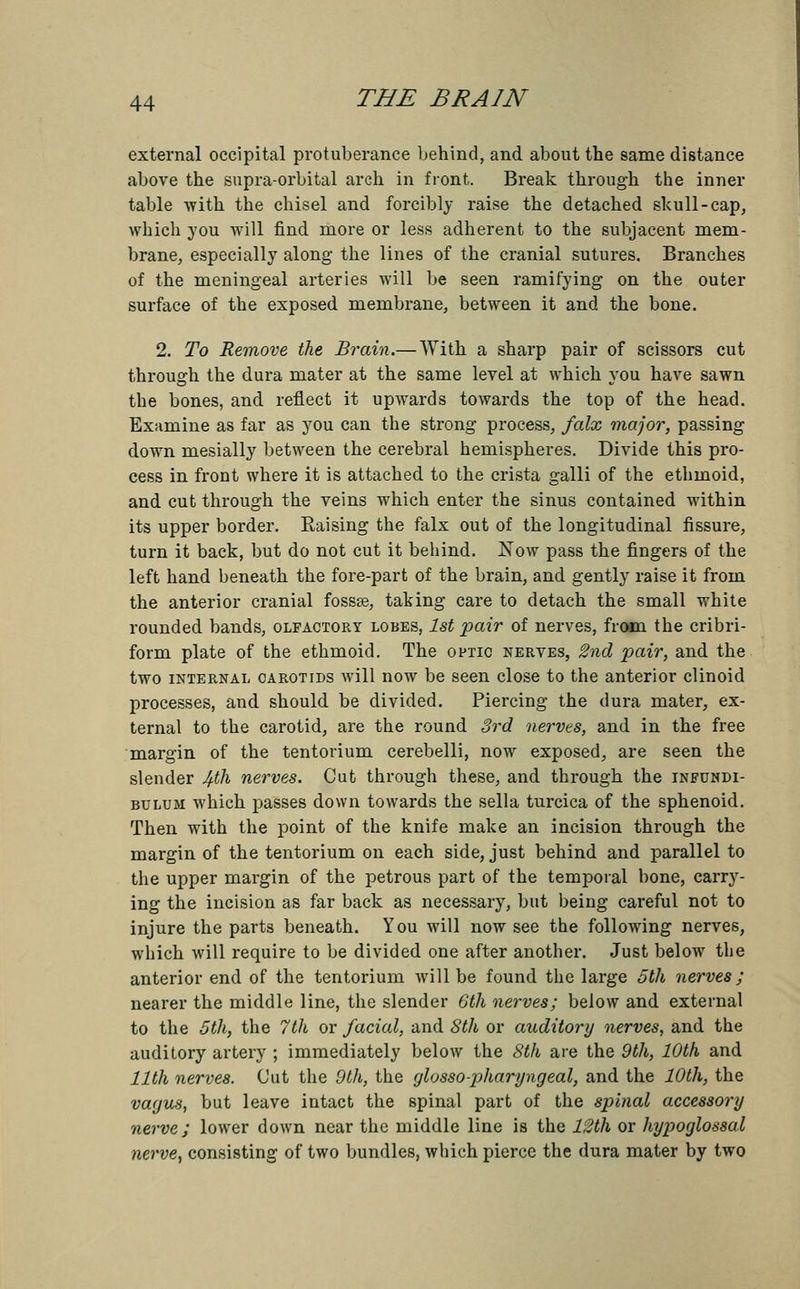 external occipital protuberance behind, and about the same distance above the supra-orbital arch in front. Break through the inner table with the chisel and forcibly raise the detached skull-cap, which you will find more or less adherent to the subjacent mem- brane, especially along the lines of the cranial sutures. Branches of the meningeal arteries will be seen ramifying on the outer surface of the exposed membrane, between it and the bone. 2. To Remove the Brain.— With a sharp pair of scissors cut through the dura mater at the same level at which you have sawn the bones, and reflect it upwards towards the top of the head. Examine as far as you can the strong process, falx major, passing down mesially between the cerebral hemispheres. Divide this pro- cess in front where it is attached to the crista galli of the ethmoid, and cut through the veins which enter the sinus contained within its upper border. Eaising the falx out of the longitudinal fissure, turn it back, but do not cut it behind. Now pass the fingers of the left hand beneath the fore-part of the brain, and gently raise it from the anterior cranial fossae, taking care to detach the small white rounded bands, olfactory lobes, 1st pair of nerves, from the cribri- form plate of the ethmoid. The optic nerves, 2nd pair, and the two internal carotids will now be seen close to the anterior clinoid processes, and should be divided. Piercing the dura mater, ex- ternal to the carotid, are the round 3rd nerves, and in the free margin of the tentorium cerebelli, now exposed, are seen the slender lf.th nerves. Cut through these, and through the infundi- bulum which passes down towards the sella turcica of the sphenoid. Then with the point of the knife make an incision through the margin of the tentorium on each side, just behind and parallel to the upper margin of the petrous part of the temporal bone, carry- ing the incision as far back as necessary, but being careful not to injure the parts beneath. You will now see the following nerves, which will require to be divided one after another. Just below the anterior end of the tentorium will be found the large 5th nerves; nearer the middle line, the slender 6th nerves; below and external to the 5th, the 7th or facial, and 8th or auditory nerves, and the auditory artery ; immediately below the 8th are the 9th, 10th and 11th nerves. Cut the 9th, the glossopharyngeal, and the 10th, the vagus, but leave intact the spinal part of the spinal accessory nerve ; lower down near the middle line is the 12th or hypoglossal nerve, consisting of two bundles, which pierce the dura mater by two