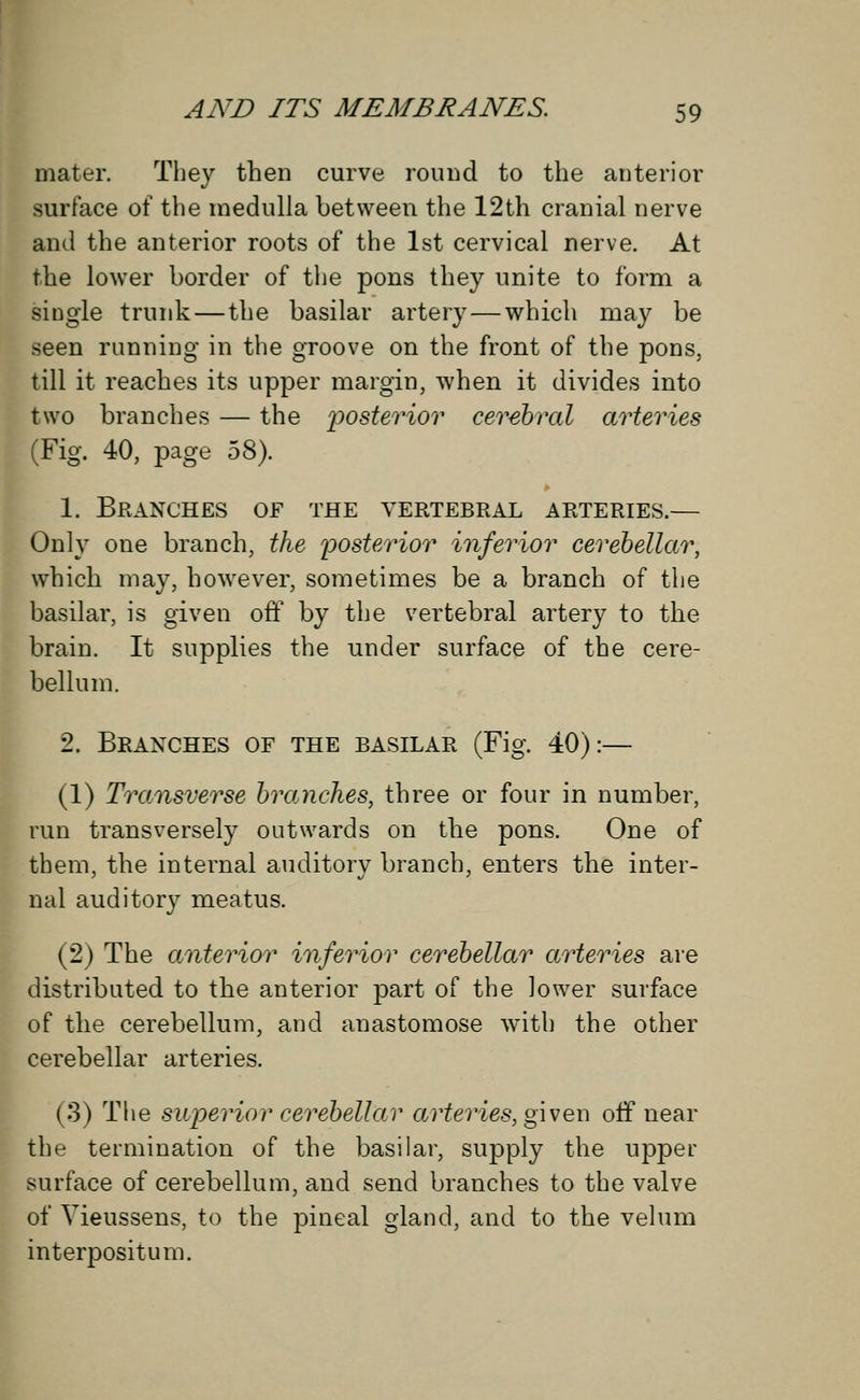 mater. They then curve round to the anterior surface of the medulla between the 12th cranial nerve and the anterior roots of the 1st cervical nerve. At the lower border of the pons they unite to form a single trunk—the basilar artery — which may be seen running in the groove on the front of the pons, till it reaches its upper margin, when it divides into two branches — the posterior cerebral arteries (Fig. 40, page 58). 1. BrAJsX'HES of the vertebral arteries.— Only one branch, the posterior inferior cerebellar, which may, however, sometimes be a branch of the basilar, is given off by the vertebral artery to the brain. It supplies the under surface of the cere- bellum. 2. Branches of the basilar (Fig. 40):— (1) Transverse branches, three or four in number, run transversely outwards on the pons. One of them, the internal auditory branch, enters the inter- nal auditory meatus. (2) The anterior inferior cerebellar arteries are distributed to the anterior part of the lower surface of the cerebellum, and anastomose with the other cerebellar arteries. (3) The superior cerebellar arteries, given off near the termination of the basilar, supply the upper surface of cerebellum, and send branches to the valve of Yieussens, to the pineal gland, and to the velum interpositum.
