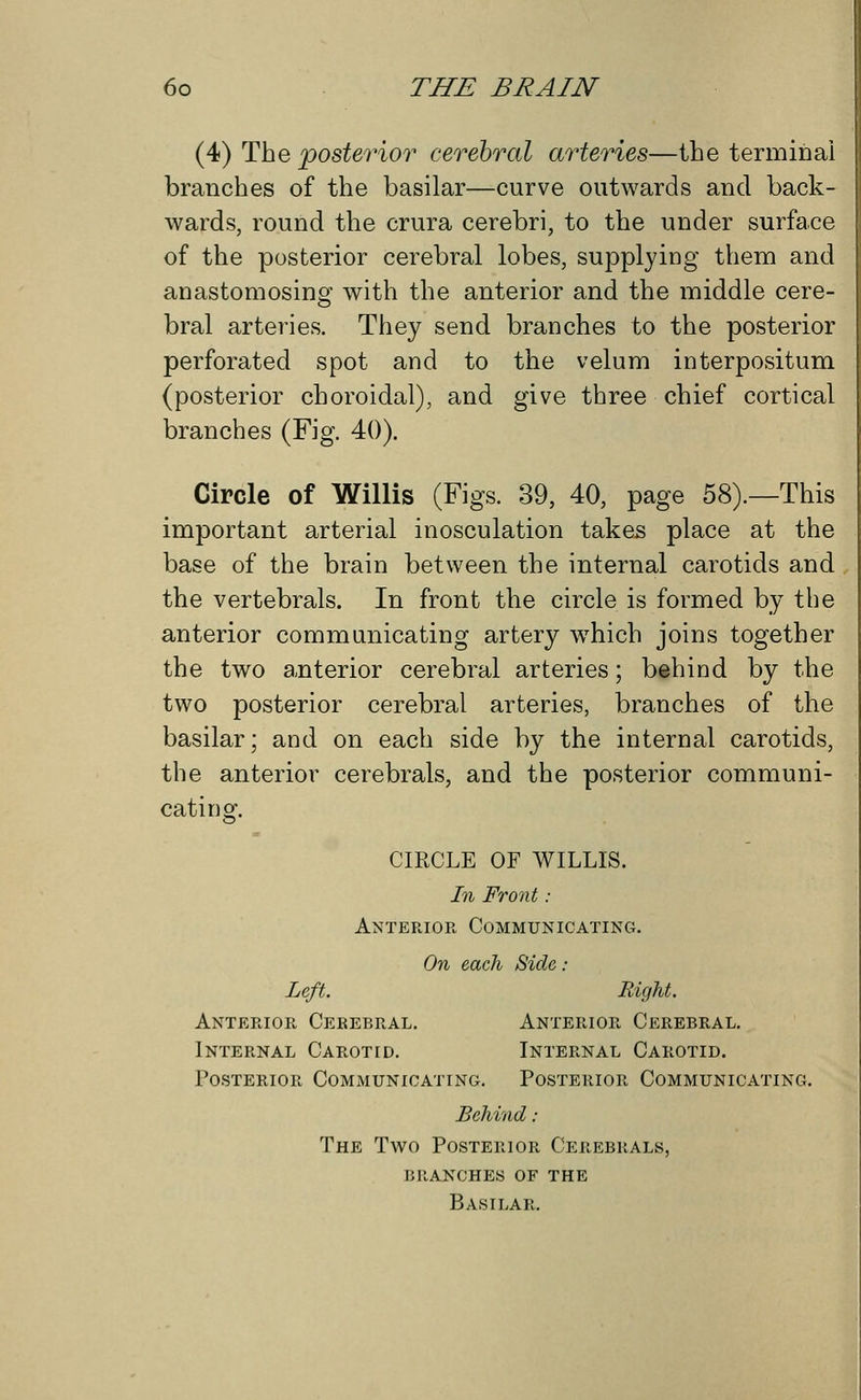 (4) The posterior cerebral arteries—the terminal branches of the basilar—curve outwards and back- wards, round the crura cerebri, to the under surface of the posterior cerebral lobes, supplying them and anastomosing with the anterior and the middle cere- bral arteries. They send branches to the posterior perforated spot and to the velum interpositum (posterior choroidal), and give three chief cortical branches (Fig. 40). Circle of Willis (Figs. 39, 40, page 58).—This important arterial inosculation takes place at the base of the brain between the internal carotids and the vertebrals. In front the circle is formed by the anterior communicating artery which joins together the two anterior cerebral arteries; behind by the two posterior cerebral arteries, branches of the basilar; and on each side by the internal carotids, the anterior cerebrals, and the posterior communi- cating. CIRCLE OF WILLIS. In Front : Anterior Communicating. On each Side : Left. Right. Anterior Cerebral. Anterior Cerebral. Internal Carotid. Internal Carotid. Posterior Communicating. Posterior Communicating. Behind: The Two Posterior Cerebrals, branches of the Basilar.