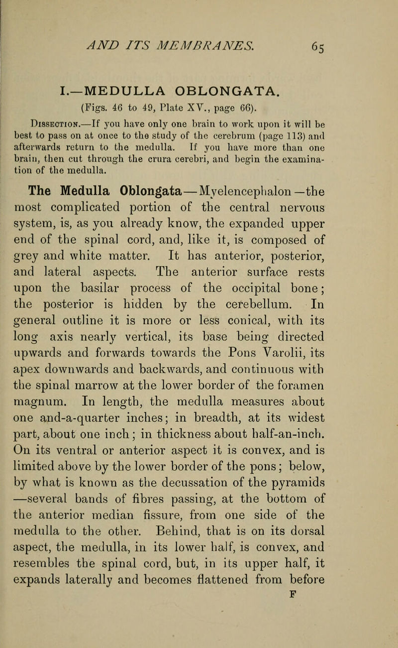 I.—MEDULLA OBLONGATA. (Figs. 46 to 49, Plate XV., page 66). Dissection.—If you have only one brain to work upon it will be best to pass on at once to the study of the cerebrum (page 113) and afterwards return to the medulla. If you have more than one brain, then cut through the crura cerebri, and begin the examina- tion of the medulla. The Medulla Oblongata—Myelencephalon — the most complicated portion of the central nervous system, is, as you already know, the expanded upper end of the spinal cord, and, like it, is composed of grey and white matter. It has anterior, posterior, and lateral aspects. The anterior surface rests upon the basilar process of the occipital bone; the posterior is hidden by the cerebellum. In general outline it is more or less conical, with its long axis nearly vertical, its base being directed upwards and forwards towards the Pons Varolii, its apex downwards and backwards, and continuous with the spinal marrow at the lower border of the foramen magnum. In length, the medulla measures about one and-a-quarter inches; in breadth, at its widest part, about one inch; in thickness about half-an-inch. On its ventral or anterior aspect it is convex, and is limited above by the lower border of the pons; below, by what is known as the decussation of the pyramids —several bands of fibres passing, at the bottom of the anterior median fissure, from one side of the medulla to the other. Behind, that is on its dorsal aspect, the medulla, in its lower half, is convex, and resembles the spinal cord, but, in its upper half, it expands laterally and becomes flattened from before F