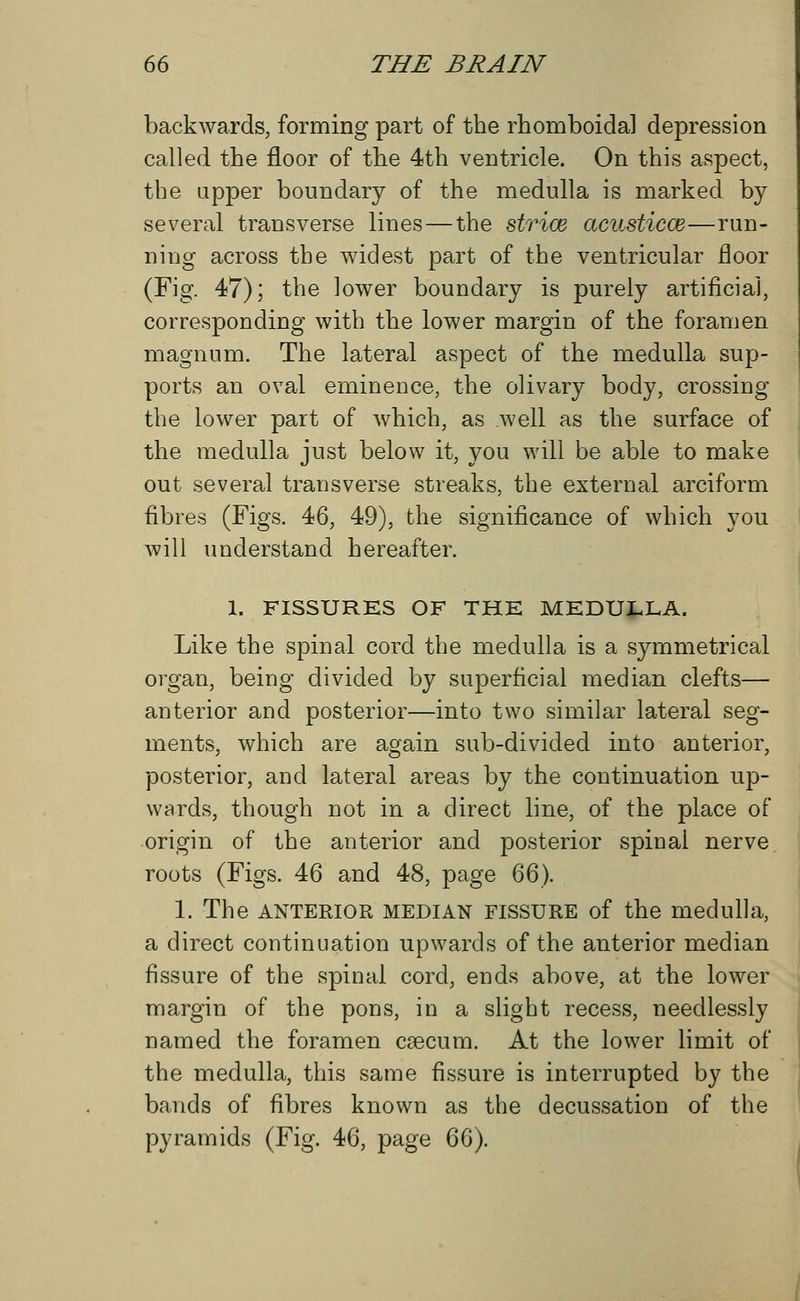 backwards, forming part of the rhomboida] depression called the floor of the 4th ventricle. On this aspect, the upper boundary of the medulla is marked by several transverse lines—the strice acusticce—run- ning across the widest part of the ventricular floor (Fig. 47); the lower boundary is purely artificial, corresponding with the lower margin of the foramen magnum. The lateral aspect of the medulla sup- ports an oval eminence, the olivary body, crossing the lower part of which, as well as the surface of the medulla just below it, you will be able to make out several transverse streaks, the external arciform fibres (Figs. 46, 49), the significance of which you will understand hereafter. 1. FISSURES OF THE MEDULLA. Like the spinal cord the medulla is a symmetrical organ, being divided by superficial median clefts— anterior and posterior—into two similar lateral seg- ments, which are again sub-divided into anterior, posterior, and lateral areas by the continuation up- wards, though not in a direct line, of the place of origin of the anterior and posterior spinal nerve roots (Figs. 46 and 48, page 66). 1. The anterior median fissure of the medulla, a direct continuation upwards of the anterior median fissure of the spinal cord, ends above, at the lower margin of the pons, in a slight recess, needlessly named the foramen caecum. At the lower limit of the medulla, this same fissure is interrupted by the bands of fibres known as the decussation of the pyramids (Fig. 46, page 66).
