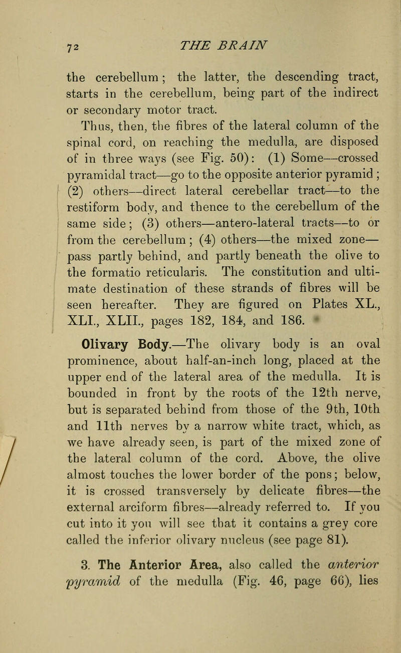 the cerebellum; the latter, the descending tract, starts in the cerebellum, being part of the indirect or secondary motor tract. Thus, then, the fibres of the lateral column of the spinal cord, on reaching the medulla, are disposed of in three ways (see Fig. 50): (1) Some—crossed pyramidal tract—go to the opposite anterior pyramid ; (2) others—direct lateral cerebellar tract—to the restiform body, and thence to the cerebellum of the same side ; (3) others—antero-lateral tracts—to or from the cerebellum ; (4) others—the mixed zone— pass partly behind, and partly beneath the olive to the formatio reticularis. The constitution and ulti- mate destination of these strands of fibres will be seen hereafter. They are figured on Plates XL., XLL, XLIL, pages 182, 184, and 186. Olivary Body.—The olivary body is an oval prominence, about half-an-inch long, placed at the upper end of the lateral area of the medulla. It is bounded in front by the roots of the 12th nerve, but is separated behind from those of the 9th, 10th and 11th nerves by a narrow white tract, which, as we have already seen, is part of the mixed zone of the lateral column of the cord. Above, the olive almost touches the lower border of the pons; below, it is crossed transversely by delicate fibres—the external arciform fibres—already referred to. If you cut into it you will see that it contains a grey core called the inferior olivary nucleus (see page 81). 3. The Anterior Area, also called the anterior pyramid of the medulla (Fig. 46, page 66), lies