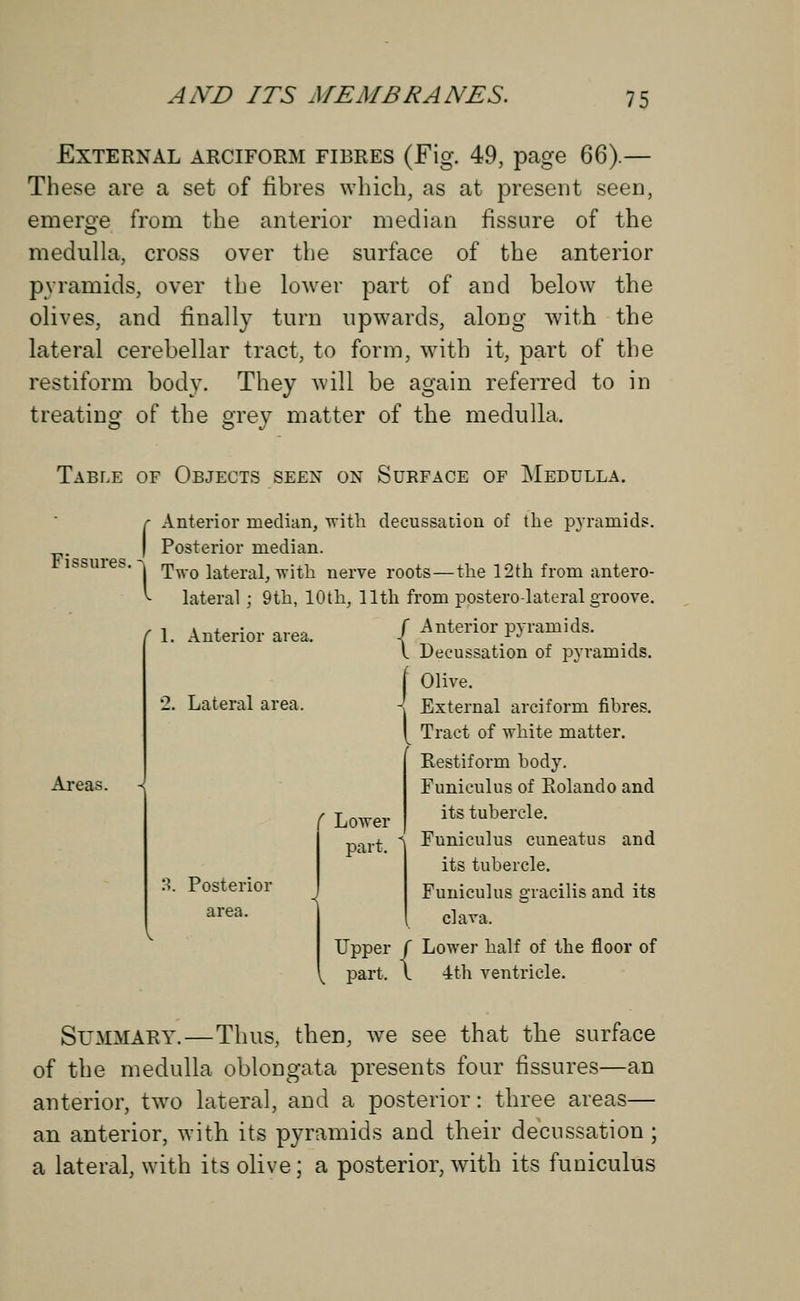 External arcifoem fibres (Fig. 49, page 66).— These are a set of fibres which, as at present seen, emerge from the anterior median fissure of the medulla, cross over the surface of the anterior pyramids, over the lower part of and below the olives, and finally turn upwards, along with the lateral cerebellar tract, to form, with it, part of the restiform body. They will be again referred to in treating of the grey matter of the medulla. Table of Objects seen on Surface of Medulla. Fissures. -> Areas. t Anterior median, with decussation of the pyramids. | Posterior median. I Two lateral, with nerve roots—the 12th from antero- *■ lateral ; 9th, 10th, 11th from postero-lateral groove. f Anterior pyramids. \ Decussation of pyramids. ( 1. Anterior area, 2. Lateral area. ( Olive. ( Lower part. Posterior area. >per f art. \ Upper par \ External arciform fibres. (_ Tract of white matter. Restiform body. Funiculus of Eolando and its tubercle. Funiculus cuneatus and its tubercle. Funiculus gracilis and its clava. Lower half of the floor of 4th ventricle. Summary.—Thus, then, we see that the surface of the medulla oblongata presents four fissures—an anterior, two lateral, and a posterior: three areas— an anterior, with its pyramids and their decussation; a lateral, with its olive; a posterior, with its funiculus