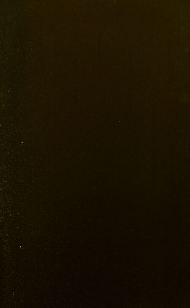 digitised image 3