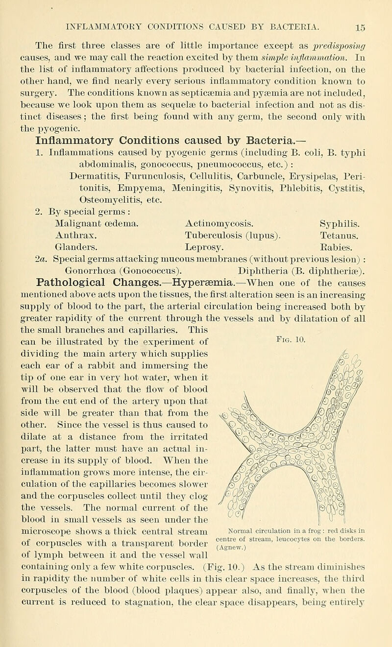 The first three classes are of little importance except as predisposing causes, and we may call the reaction excited by them simple inflammation. In the list of inflammatory affections produced by bacterial infection, on the other hand, we find nearly every serious inflammatory condition known to surgery. The conditions known as septicemia and pytemia are not included, because we look upon them as sequelte to bacterial infection and not as dis- tinct diseases; the first being found with any germ, the second only with the pyogenic. Inflammatory Conditions caused by Bacteria.— 1. Inflammations caused by pyogenic germs (including B. coli, B. typhi abdominalis, gonococcus, pneumocoecus, etc.) : Dermatitis, Purunculosis, Cellulitis, Carbuncle, Erysipelas, Peri- tonitis, Empyema, Meningitis, Synovitis, Phlebitis, Cystitis, Osteomyelitis, etc. By special germs: Malignant oedema. Anthrax. Glanders. Fig. 10. Actinomycosis. Syphilis. Tuberculosis (lupus). Tetanus. Leprosy. Eabies. 2a. Special germs attacking mucous membranes (without previous lesion): Gonorrhoea (Gonococcus). Diphtheria (B. diphtherias). Pathological Changes.—Hyperaemia.—When one of the causes mentioned above acts upon the tissues, the first alteration seen is an increasing- supply of blood to the part, the arterial circulation being increased both by greater rapidity of the current through the vessels and by dilatation of all the small branches and capillaries. This can be illustrated by the experiment of dividing the main artery which supplies each ear of a rabbit and immersing the tip of one ear in very hot water, when it will be observed that the flow of blood from the cut end of the artery upon that side will be greater than that fi-om the other. Since the vessel is thus caused to dilate at a distance from the irritated part, the latter must have an actual in- crease in its supply of blood. When the inflammation grows more intense, the cir- culation of the capillaries becomes slower and the corpuscles collect until they clog the vessels. The normal current of the blood in small vessels as seen under the microscojie shows a thick central stream of corpuscles with a transparent border of lymiah between it and the vessel wall containing only a few white corpuscles. (Fig. 10.) As the stream diminishes in rapidity the number of white cells in this clear space increases, the third corpuscles of the blood (blood plaques) api^ear also, and finally, when the current is reduced to stagnation, the clear sj)ace disappears, being entirely Normal circulation in a frog: red disks in centre of stream, leucocytes on the bordere. (Agnew.)