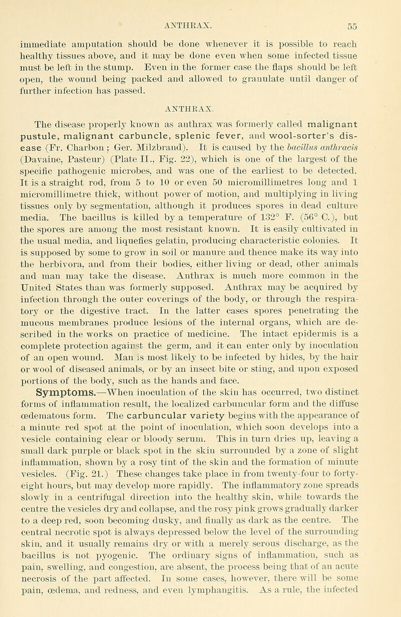 immediate amx^utation should be done whenever it is possible to reach healthy tissues above, and it may be done even when some infected tissue must be left in the stump. Even in the former case the flaps should be left open, the wound being packed and allowed to granulate until danger of further infection has passed. ANTHRAX. The disease properly known as anthrax was formerly called malignant pustule, malignant carbuncle, splenic fever, and wool-sorter's dis- ease (Fr. Charbon ; Ger. Milzbrand). It is caused by the bacillus anthracis (Davaine, Pasteur) (Plate II., Fig. 22), which is one of the lai-gest of the specific iiathogenic microbes, and was one of the earliest to be detected. It is a straight rod, from 5 to 10 or even 50 micromillimetres long and 1 micromillimetre thick, without power of motion, and multiplying in living tissues only by segmentation, although it produces spores in dead culture media. The bacillus is killed by a temperatui-e of 132° P. (56° C), but the spores are among the most resistant known. It is easily cultivated in the usual media, and liquefies gelatin, producing characteristic colonies. It is sirpposed by some to grow in soil or manure and thence make its way into the herbivora, and from their bodies, either living or dead, other animals and man may take the disease. Anthrax is much more common in the United States than was formerly supposed. Anthrax may be acquired by infection through the outer coverings of the body, or through the respira- tory or the digestive tract. In the latter cases spores penetrating the mucous membranes produce lesions of the internal organs, which are de- scribed in the works on practice of medicine. The intact epidermis is a complete protection against the germ, and it can enter only by inoculation of an open wound. Man is most likely to be infected by hides, by the hair or wool of diseased animals, or by an insect bite or sting, and upon exposed portions of the body, such as the hands and face. Symptoms.—When inoculation of the skin has occurred, two distinct forms of inflammation result, the localized carbuncular form and the diffuse cedematous form. The carbuncular variety begins with the appearance of a minute red spot at the point of inoculation, which soon develoi^s into a vesicle containing clear or bloody serum. This in turn dries up, leaving a small dark purple or black spot in the skin surrounded by a zone of slight inflammation, shown by a rosy tint of the skin and the formation of minute vesicles. (Pig. 21.) These changes take place in from twenty-four to forty- eight hours, but may develop more rapidly. The inflammatory zone spreads slowly in a centrifugal direction into the healthy skin, while towards the centre the vesicles dry and collapse, and the rosy pink grows gradually darker to a deep red, soon becoming dusky, and finally as dai k as the centre. The central necrotic spot is always depressed below the level of the surrounding- skin, and it usually remains dry or with a merely serous discharge, as the bacillus is not pyogenic. The ordinary signs of inflammation, such as pain, swelling, and congestion, are absent, the process being that of an acute necrosis of the part affected. In some cases, however, there will be some pain, oedemai, and redness, and even lymphangitis. As a rule, the infected