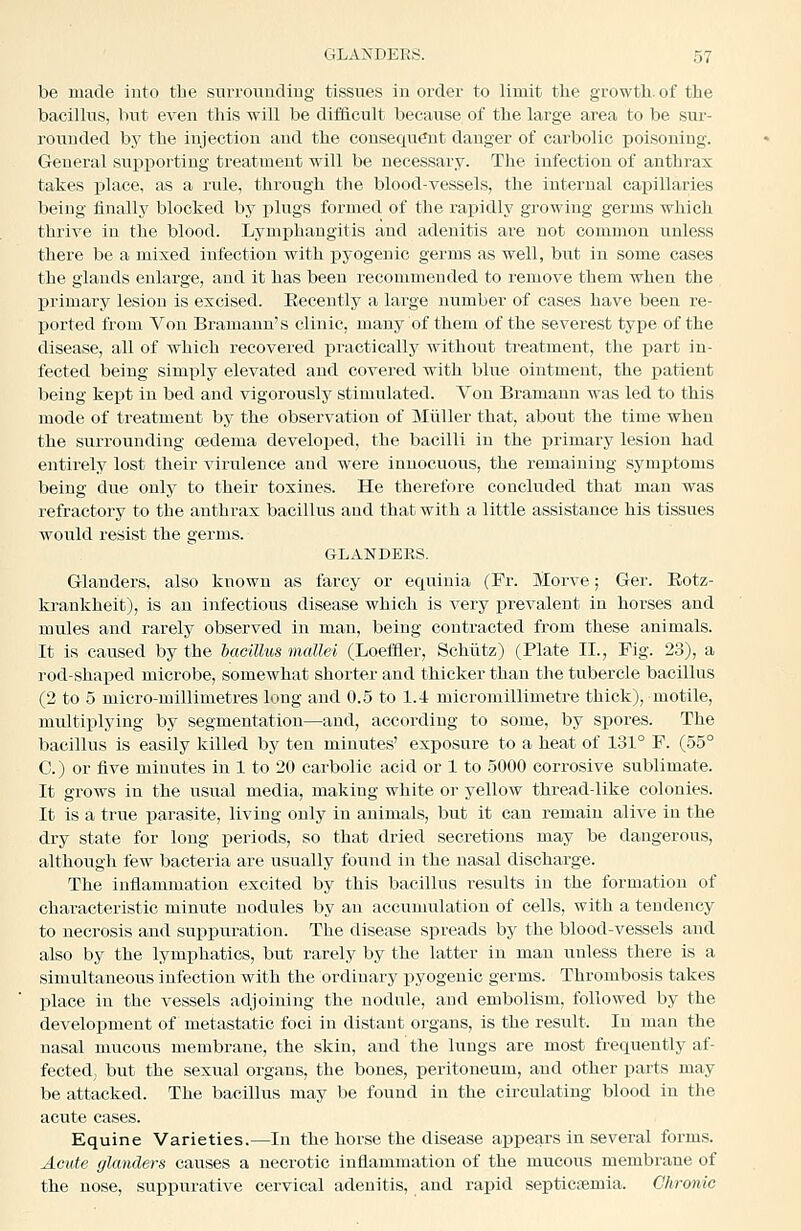 be made into the surroiiudiug tissues in order to limit tlie growth, of the bacillus, but even this will be difficult because of the large area to be sur- rounded by the injection and the consequent danger of carbolic poisoning. General supporting treatment will be necessary. The infection of anthrax takes place, as a rule, through the blood-vessels, the internal capillaries being finally blocked by plugs formed of the rapidly growing germs which thrive in the blood. Lymphangitis and adenitis are not common unless there be a mixed infection with pyogenic germs as well, but in some cases the glands enlarge, and it has been recommended to remove them when the primary lesion is excised. Eecently a large number of cases have been re- ported from Von Bramann's clinic, many of them of the severest type of the disease, all of which recovered practically without treatment, the part in- fected being simply elevated and covered with blxie ointment, the patient being kej)t in bed and vigorously stimulated. Von Bramann was led to this mode of treatment by the observation of Miiller that, about the time when the surrounding oedema developed, the bacilli in the primary lesion had entirely lost their virulence and were innocuous, the remaining symjitoms being due only to their toxines. He therefore concluded that man was refractory to the anthrax bacillus and that with a little assistance his tissues would resist the germs. GLANDERS, Glanders, also known as farcy or equinia (Pr. Morve; Ger. Eotz- krankheit), is an infectious disease which is very j)revalent in horses and mules and rarely observed in man, being contracted from these animals. It is caused by the bacillus mallei (Loeffier, Schiltz) (Plate II., Fig. 23), a rod-shaped microbe, somewhat shorter and thicker than the tubercle bacillus (2 to 5 micro-millimetres long and 0.5 to 1.4 micromillimetre thick), motile, multiplying by segmentation—and, according to some, by spores. The bacillus is easily killed by ten minutes' exposure to a heat of 131° F. (55° C.) or five minutes in 1 to 20 carbolic acid or 1 to 5000 corrosive sublimate. It grows in the usual media, making white or yellow thread-like colonies. It is a true parasite, living only in animals, but it can remain alive in the dry state for long periods, so that dried secretions may be dangerous, although few bacteria are usually found in the nasal discharge. The inflammation excited by this bacillus results in the formation of characteristic minute nodules by an accumulation of cells, with a tendency to necrosis and suppuration. The disease spreads by the blood-vessels and also by the lymphatics, but rarely by the latter in man unless there is a simultaneous infection with the ordinary pyogenic germs. Thrombosis takes place in the vessels adjoining the nodule, and embolism, followed by the development of metastatic foci in distant organs, is the result. In man the nasal mucous membrane, the skin, and the lungs are most frequently af- fected, but the sexual organs, the bones, peritoneum, and other parts may be attacked. The bacillus may be found in the circulating blood in the acute cases. Equine Varieties.—In the horse the disease appears in several form.s. Acute glanders causes a necrotic inflammation of the mucous membrane of the nose, suppurative cervical adenitis, and rapid septicemia. Chronic