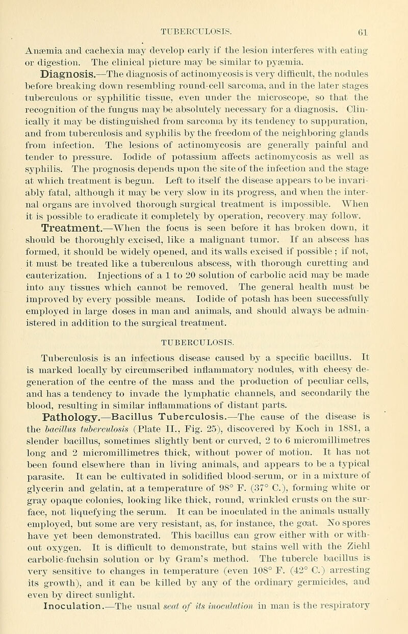 Aiifemia and cachexia may develoi) early if the lesion interferes with eating or digestion. The clinical picture may be similar to pytemia. Diagnosis.—The diagnosis of actinomycosis is very difficult, the nodules before breaking doAvu resembling round-cell sarcoma, and in the later stages tuberculous or syphilitic tissue, even under the microscope, so that the recognition of the fungus may be absolutely necessary for a diagnosis. Clin- ically it may be distinguished from sarcoma by its tendency to supi^uration, and from tuberculosis and syphilis by the freedom of the neighboring glands from infection. The lesions of actinomycosis are generally painful and tender to pressure. Iodide of j)otassinni affects actinomycosis as well as syphilis. The prognosis depends upon the site of the infection and the stage at which treatment is begun. Left to itself the disease appears to be invari- ably fatal, although it may be very slow in its i^rogress, and when the inter- nal organs are involved thorough surgical treatment is impossible. When it is possible to eradicate it completely by operation, recovery.may follow. Treatment.—When the focus is seen before it has broken down, it should be thoroughly excised, like a malignant tumor. If an abscess has formed, it should be widely opened, and its walls excised if possible ; if not, it must be treated like a tuberculous abscess, with thorough curetting and cauterization. Injections of a 1 to 20 solution of carbolic acid may be made into any tissues which cannot be removed. The general health must be improved by every possible means. Iodide of potash has been successfully employed in large doses in man and animals, and should always be admin- istered in addition to the surgical ti'eatment. TUBERCULOSIS. Tuberculosis is an infectious disease caused by a specific bacillus. It is marked locally by circumscribed inflammatory nodules, with cheesy de- generation of the centre of the mass and the production of peculiar cells, and has a tendency to invade the lymiihatic channels, and secondarily the blood, resulting in similar inflammations of distant parts. Pathology.—Bacillus Tuberculosis.—The cause of the disease is the bacillus tuberculosis (Plate II.. Fig. 25), discovered by Koch in 1881, a slender bacillus, sometimes slightly bent or curved, 2 to 6 micromillimetres long and 2 micromillimetres thick, without power of motion. It has not been found elsewhere than in living animals, and appears to be a typical parasite. It can be cultivated in solidified blood-serum, or in a mixture of glycerin and gelatin, at a temperature of 98° F. (37° C), forming white or gray opaque colonies, looking like thick, round, wrinkled crusts on the sur- face, not lic|uefying the serum. It can be inoculated in the animals usually emiiloyed, but some are very resistant, as, for instance, the goat. l^To spores have yet been demonstrated. This bacillus can grow either with or with- oiit oxygen. It is difficult to demonstrate, but stains well with the Ziehl carbolic-fuchsin solution or by Gram's method. The tubercle bacillus is very sensitive to changes in temperature (even 108° F. (42° C.) arresting its growth), and it can be killed by any of the ordinary germicides, and even bj' direct sunlight. Inoculation.—The usual seat of its inoculation in man is the respiratory