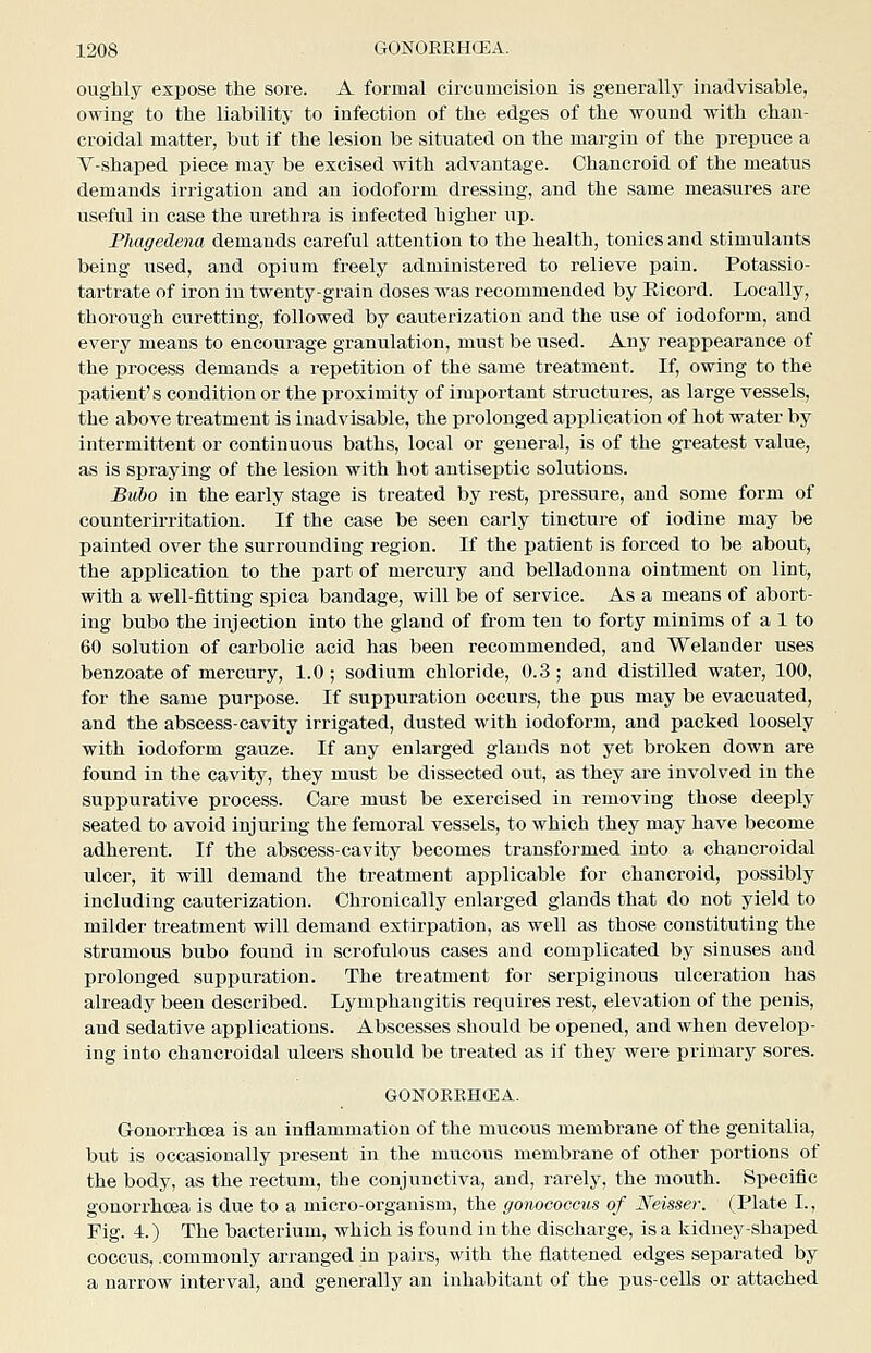 oughly expose the sore. A formal cireuiQcision is generally inadvisable, owing to the liability to infection of the edges of the wound with chan- croidal matter, but if the lesion be situated on the margin of the prepuce a V-shaped piece may be excised with advantage. Chancroid of the meatus demands irrigation and an iodoform dressing, and the same measures are useful in case the urethra is infected higher up. Phagedena demands careful attention to the health, tonics and stimulants being used, and opium freely administered to relieve pain. Potassio- tartrate of iron in twenty-grain doses was recommended by Eicord. Locally, thorough curetting, followed by cauterization and the use of iodoform, and every means to encourage granulation, must be used. Any reappearance of the process demands a repetition of the same treatment. If, owing to the patient's condition or the proximity of important structures, as large vessels, the above treatment is inadvisable, the prolonged application of hot water by intermittent or continuous baths, local or general, is of the greatest value, as is spraying of the lesion with hot antiseptic solutions. Bubo in the early stage is treated by rest, pressure, and some form of counterirritation. If the case be seen early tincture of iodine may be painted over the surrounding region. If the patient is forced to be about, the application to the part of mercury and belladonna ointment on lint, with a well-fitting spica bandage, will be of service. As a means of abort- ing bubo the injection into the gland of from ten to forty minims of a 1 to 60 solution of carbolic acid has been recommended, and Welander uses benzoate of mercury, 1.0; sodium chloride, 0.3; and distilled water, 100, for the same puri^ose. If suppuration occurs, the pus may be evacuated, and the abscess-cavity irrigated, dusted wdth iodoform, and packed loosely with iodoform gauze. If any enlarged glands not yet broken down are found in the cavity, they must be dissected out, as they are involved in the suppurative process. Care must be exercised in removing those deeply seated to avoid injuring the femoral vessels, to which they may have become adherent. If the abscess-cavity becomes transformed into a chancroidal ulcer, it will demand the treatment applicable for chancroid, possibly including cauterization. Chronically enlarged glands that do not yield to milder treatment will demand extirpation, as well as those constituting the strumous bubo found in scrofulous cases and complicated by sinuses and prolonged suppuration. The treatment for serpiginous ulceration has already been described. Lymphangitis requires rest, elevation of the penis, and sedative applications. Abscesses should be opened, and when develop- ing into chancroidal ulcers should be treated as if they were primary sores. GONORKHCEA. Gonorrhoea is an inflammation of the mucous membrane of the genitalia, but is occasionally present in the mucous membrane of other portions of the body, as the rectum, the conjunctiva, and, rarely, the mouth. Specific gonorrhoea is due to a micro-organism, the gonococcus of Neisser. (Plate I., Fig. 4.) The bacterium, which is found in the discharge, is a kidney-shaped coccus, .commonly arranged in pairs, with the flattened edges separated by a narrow interval, and generally an inhabitant of the pus-cells or attached