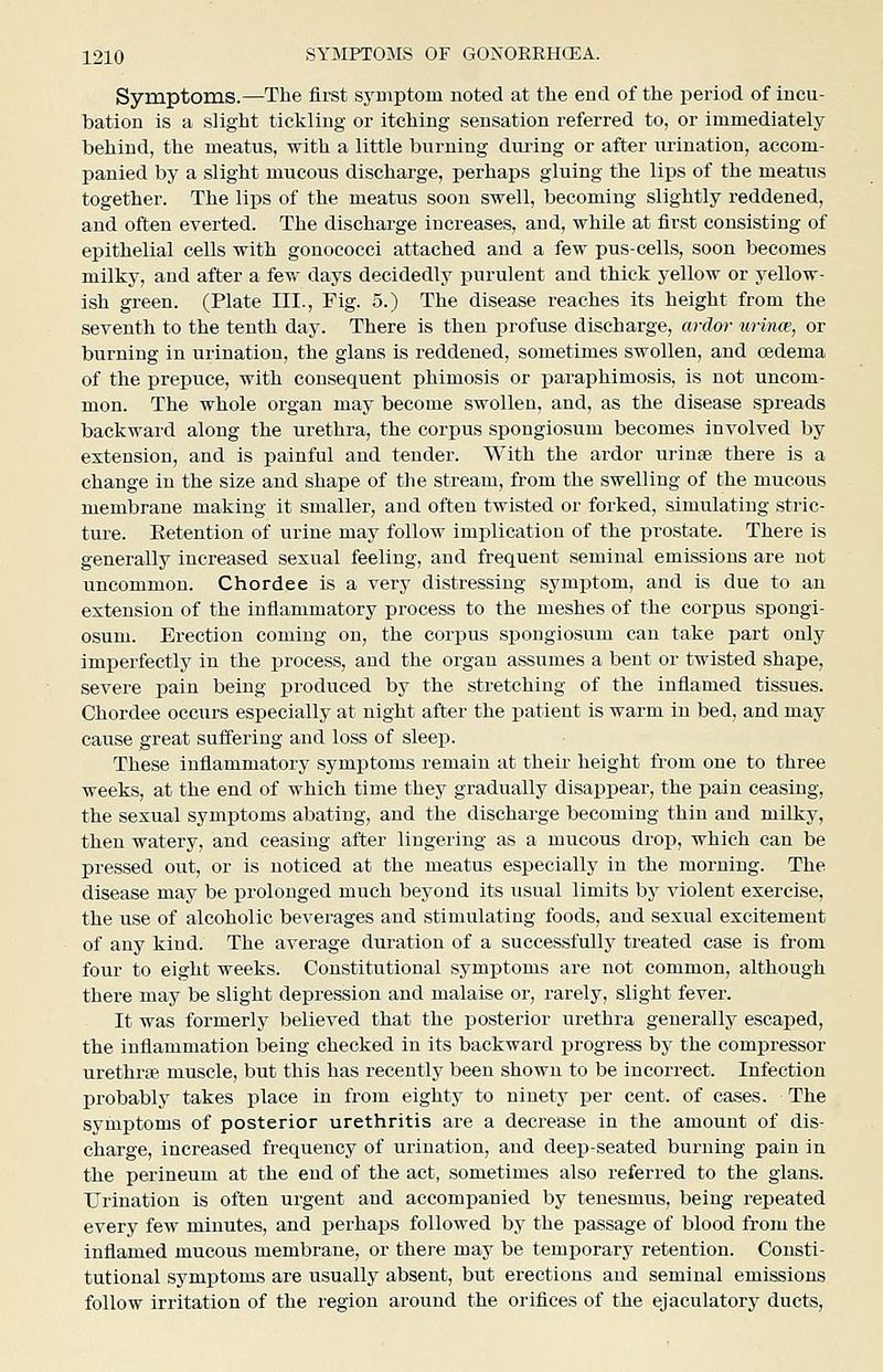 Symptoms.—The first symptom noted at the end of the period of incu- bation is a slight tickling or itching sensation referred to, or immediately behind, the meatus, with a little burning dui-ing or after urination, accom- panied by a slight mucous discharge, perhaps gluing the lips of the meatus together. The lips of the meatus soon swell, becoming slightly reddened, and often everted. The discharge increases, and, while at first consisting of epithelial cells with gonococci attached and a few pus-cells, soon becomes milky, and after a few days decidedly purulent and thick yellow or yellow- ish green. (Plate III., Fig. 5.) The disease reaches its height from the seventh to the tenth day. There is then profuse discharge, ardor wince, or burning in urination, the glans is reddened, sometimes swollen, and oedema of the prepuce, with consequent phimosis or j)araphimosis, is not uncom- mon. The whole organ may become swollen, and, as the disease spreads backward along the urethra, the corpus spongiosum becomes involved by extension, and is painful and tender. With the ardor urinse there is a change iu the size and shape of the stream, from the swelling of the mucous membrane making it smaller, and often twisted or forked, simulating stric- ture. Eetention of urine may follow imf)licatiou of the prostate. There is generally increased sexual feeling, and frequent seminal emissions are not uncommon. Chordee is a very distressing symptom, and is due to an extension of the inflammatory process to the meshes of the corpus spongi- osum. Erection coming on, the cor^jus spongiosum can take part only imperfectly in the process, and the organ assumes a bent or twisted shape, severe pain being produced by the stretching of the inflamed tissues. Chordee occurs especially at night after the patient is warm iu bed, and may cause great suffering and loss of sleep. These inflammatory symptoms remain at their height from one to three weeks, at the end of which time they gradually disappear, the pain ceasing, the sexual symptoms abating, and the discharge becoming thin and milky, then watery, and ceasing after lingering as a mucous drop, which can be pressed out, or is noticed at the meatus especially in the morning. The disease may be prolonged much beyond its usual limits by violent exercise, the use of alcoholic beverages and stimulating foods, and sexual excitement of any kind. The average duration of a successfully treated case is from four to eight weeks. Constitutional symptoms are not common, although there may be slight depression and malaise or, rarely, slight fever. It was formerly believed that the i)osterior urethra generally escaped, the inflammation being checked in its backward x^rogress by the compressor urethrae muscle, but this has recently been shown to be incorrect. Infection probably takes place in from eighty to ninety per cent, of cases. The symptoms of posterior urethritis are a decrease in the amount of dis- charge, increased frequency of urination, and deep-seated burning pain in the perineum at the end of the act, sometimes also referred to the glans. Urination is often urgent and accompanied by tenesmus, being repeated every few minutes, and perhaps followed by the passage of blood from the inflamed mucous membrane, or there may be temporary retention. Consti- tutional symptoms are usually absent, but erections and seminal emissions follow irritation of the region around the orifices of the ejaculatory ducts,