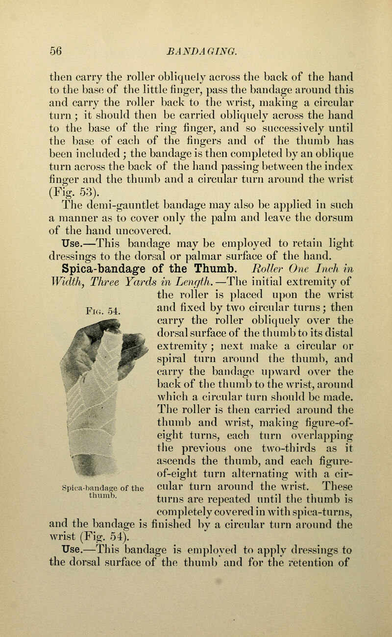 Fig. 54. then carry the roller obliquely across the back of the hand to the base of the little finger, pass the bandage around this and carry the roller back to the wrist, making a circular turn; it should then be carried obliquely across the hand to the base of the ring finger, and so successively until the base of each of the fingers and of the thumb has been included ; the bandage is then completed by an oblique turn across the back of the hand passing between the index finger and the thumb and a circular turn around the wrist (Fig. 53). The demi-gauntlet bandage may also be applied in such a manner as to cover only the palm and leave the dorsum of the hand uncovered. Use.—This bandage may be employed to retain light dressings to the dorsal or palmar surface of the hand. Spica-bandage of the Thumb. Roller One Inch in Width, Three Yards in Length.—The initial extremity of the roller is placed upon the wrist and fixed by two circular turns; then carry the roller obliquely over the dorsal surface of the thumb to its distal extremity ; next make a circular or spiral turn around the thumb, and carry the bandage upward over the back of the thumb to the wrist, around which a circular turn should be made. The roller is then carried around the thumb and wrist, making figure-of- eight turns, each turn overlapping the previous one two-thirds as it ascends the thumb, and each figure- of-eight turn alternating with a cir- cular turn around the wrist. These turns are repeated until the thumb is completely covered in with spica-turns, and the bandage is finished by a circular turn around the wrist (Fig. 54). Use.—This bandage is employed to apply dressings to the dorsal surface of the thumb and for the retention of Spiea-bandage of the thumb.