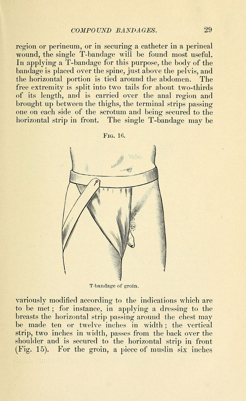 region or perineum, or in securing a catheter in a perineal wound, the single T-bandage will be found most useful. In applying a T-bandage for this purpose, the body of the bandage is placed over the spine, just above the pelvis, and the horizontal portion is tied around the abdomen. The free extremity is split into two tails for about two-thirds of its length, and is carried over the anal region and brought up between the thighs, the terminal strips passing one on each side of the scrotum and being secured to the horizontal strip in front. The single T-bandage may be Fig. 16. T-bandage of groin. variously modified according to the indications which are to be met; for instance, in applying a dressing to the breasts the horizontal strip passing around the chest may be made ten or twelve inches in width; the vertical strip, two inches in width, passes from the back over the shoulder and is secured to the horizontal strip in front (Fig. 15). For the groin, a piece of rausliu six inches