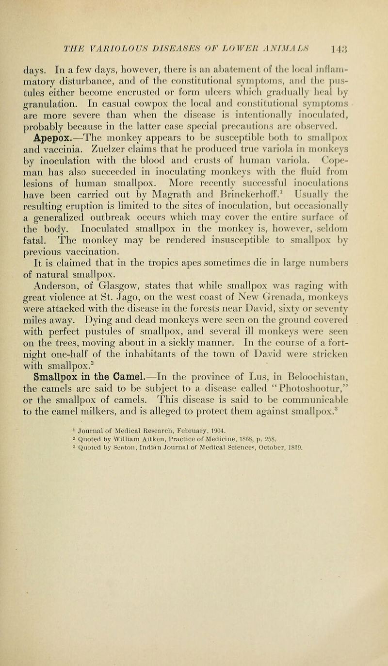 77//'; VA/UOLOirS DlSh'ASh'S OF IJ)\V/'JI{, y\NIMALS |.J;> (lays. In a f(!W days, however, ilien; is an ahalcnieiil, of llie loe;il infhiin- inatory distiirhanee, and of tlie eonsliint.ional syniplonis, and (lie |>iJS- tules cither become encrusted or form ulcers which j^radually heal \)y granulation. In casual cowpox the local and constitutional symptoms are more severe than when the disease is intentionally inoculated, probably because in the latter case special precaulions are observed. Apepox.—^^rhe monkey aj)])ears to be susceptible both to smallpox and vaccinia. Zuelzer claims that he produced true variola in monkeys by inoculation with the blood and crusts of human variola. Cope- man has also succeeded in inoculating monkeys with the fluid from lesions of human smallpox. More recently successful inoculations have been carried out by Magrath and Brinckerhoff.^ Usually the resulting eruption is limited to the sites of inoculation, but occasionally a generalized outbreak occurs which may cover the entire surface of the body. Inoculated smallpox in the monkey is, however, seldom fatal. The monkey may be rendered insusceptible to smallpox by previous vaccination. It is claimed that in the tropics apes sometimes die in large numbers of natural smallpox. Anderson, of Glasgow, states that while smallpox was raging with great violence at St. Jago, on the west coast of New Grenada, monkeys were attacked with the disease in the forests near David, sixty or seventy miles away. Dying and dead monkeys were seen on the ground covered with perfect pustules of smallpox, and several ill monkeys w'ere seen on the trees, moving about in a sickly manner. In the course of a fort- night one-half of the inhabitants of the town of David were stricken with smallpox.^ Smallpox in the Camel.—In the province of Lus, in Beloochistan, the camels are said to be subject to a disease called Photoshootur, or the smallpox of camels. This disease is said to be communicable to the camel milkers, and is alleged to protect them against smallpox.^ .' Journal of Medical Resonrcli, February, 1904. 2 Quoted by William Aitlceu, Practice of Medicine, ISGS, p. 258. ^ Quoted by Son ton, Indian Journal of Medical Sciences, October, 1839.