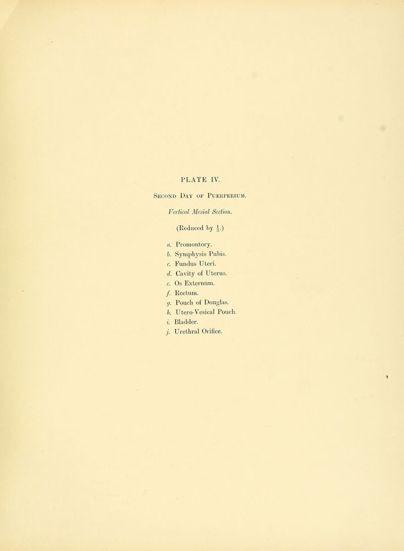 Second Day of Pueeperium. Vertical Mesial Section. (Reduced by \.) a. Promontory. b. Symphysis Pubis, e. Fundus Uteri. d. Cavity of Uterus. e. Os Externum. /. Rectum. g. Pouch of Douglas. h. Utero-Vesical Pouch. i. Bladder. j. Urethral Orifice.