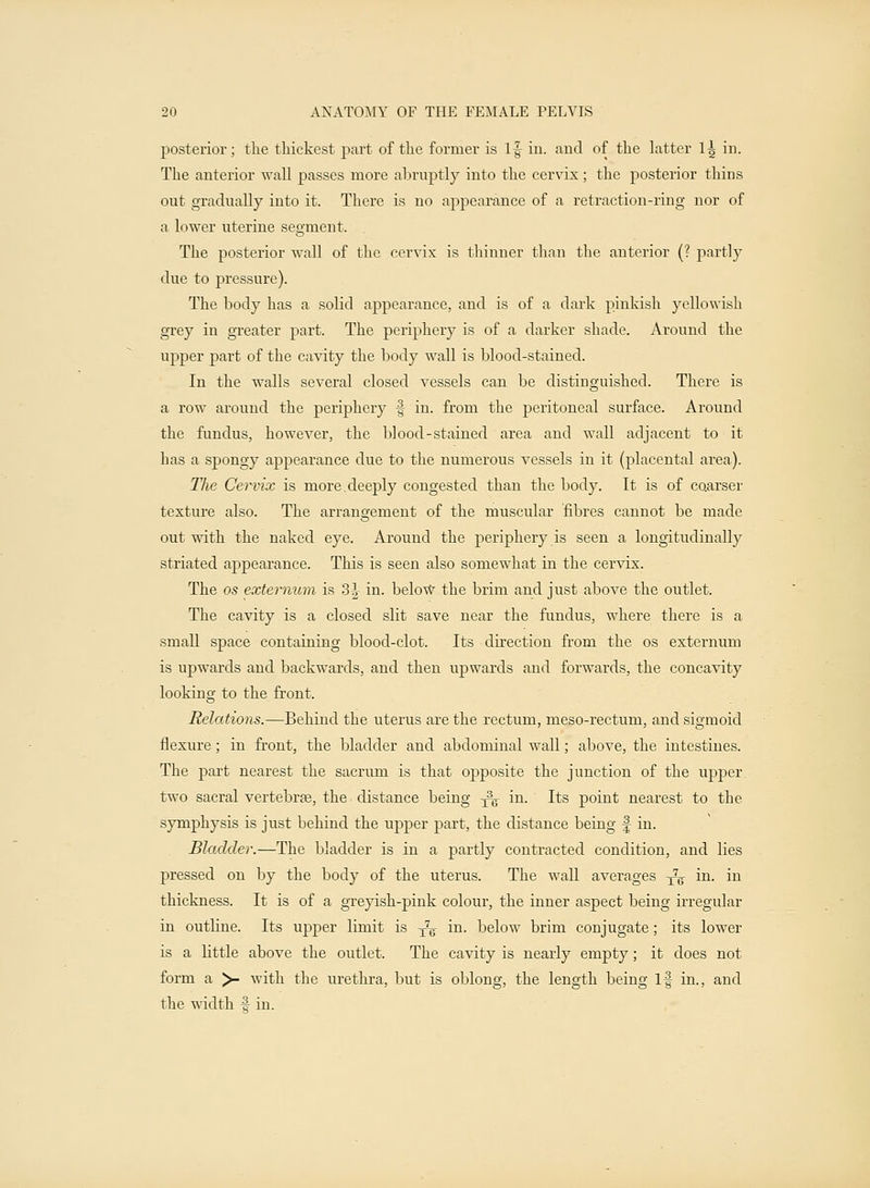 posterior; the thickest part of the former is 1^ in. and of the latter 1| in. The anterior wall passes more abruptly into the cervix; the posterior thins out gradually into it. There is no appearance of a retraction-ring nor of a lower uterine segment. The posterior wall of the cervix is thinner than the anterior (? partly due to pressure). The body has a solid appearance, and is of a dark pinkish yellowish grey in greater part. The periphery is of a darker shade. Around the upper part of the cavity the body wall is blood-stained. In the walls several closed vessels can be distinguished. There is a row around the periphery f in. from the peritoneal surface. Around the fundus, however, the blood-stained area and wall adjacent to it has a spongy appearance due to the numerous vessels in it (placental area). The Cervix is more.deeply congested than the body. It is of coarser texture also. The arrangement of the muscular fibres cannot be made out with the naked eye. Around the periphery is seen a longitudinally striated appearance. This is seen also somewhat in the cervix. The os externum is 3^ in. below the brim and just above the outlet. The cavity is a closed slit save near the fundus, where there is a small space containing blood-clot. Its direction from the os externum is upwards and backwards, and then upwards and forwards, the concavity looking to the front. Relations.—Behind the uterus are the rectum, meso-rectum, and sigmoid flexure; in front, the bladder and abdominal wall; above, the intestines. The part nearest the sacrum is that opposite the junction of the upper two sacral vertebra?, the distance being -f^ in. Its point nearest to the symphysis is just behind the upper part, the distance being f in. Bladder.—The bladder is in a partly contracted condition, and lies pressed on by the body of the uterus. The wall averages -^ in. in thickness. It is of a greyish-pink colour, the inner aspect being irregular in outline. Its upper limit is -^ in. below brim conjugate; its lower is a little above the outlet. The cavity is nearly empty; it does not form a >- with the urethra, but is oblong, the length being if in., and the width •§ in.