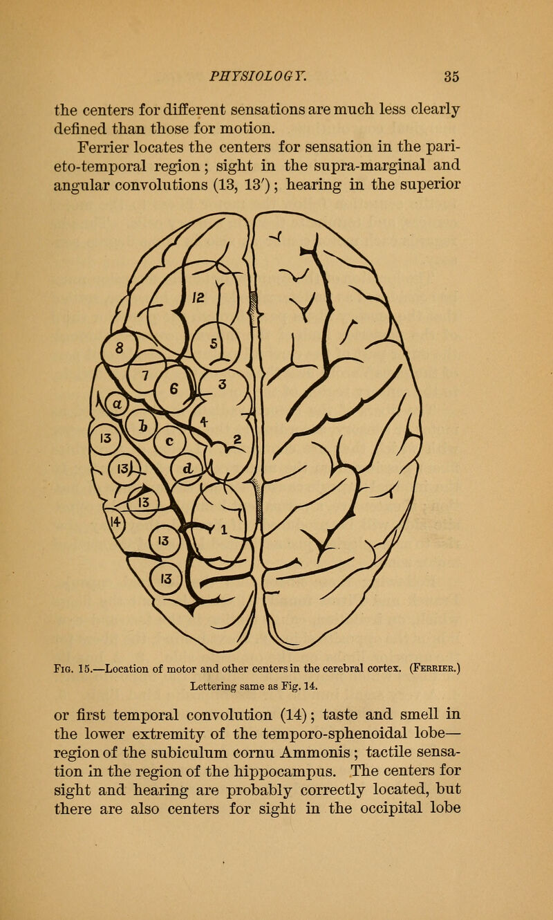 the centers for different sensations are mucli less clearly defined than those for motion. Ferrier locates the centers for sensation in the pari- eto-temporal region; sight in the supra-marginal and angular convolutions (13, 13'); hearing in the superior Fig. 15.—Location of motor and other centers in the cerebral cortex. (Ferrier.) Lettering same as Fig. 14. or first temporal convolution (14); taste and smell in the lower extremity of the temporo-sphenoidal lobe— region of the subiculum cornu Ammonis; tactile sensa- tion in the region of the hippocampus. The centers for sight and hearing are probably correctly located, but there are also centers for sight in the occipital lobe