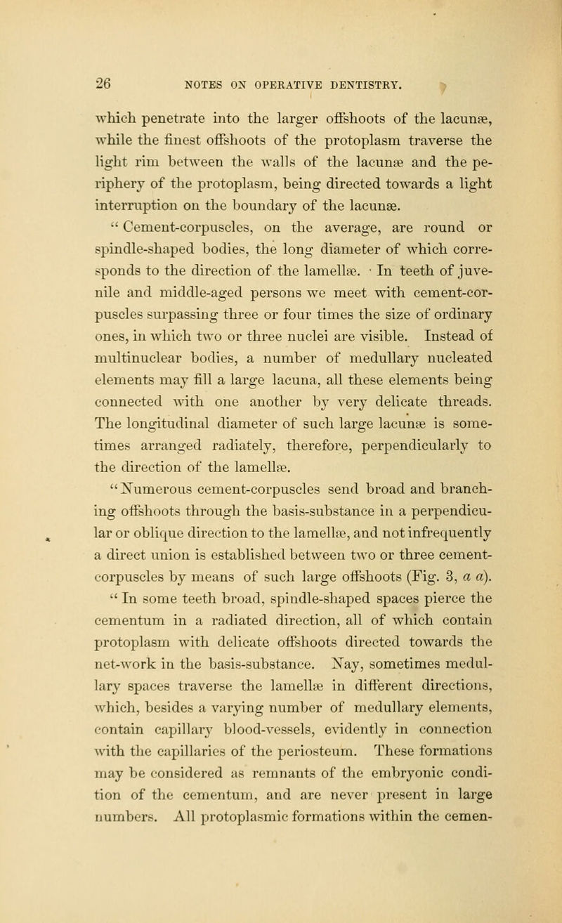 wMch penetrate into the larger offshoots of the lacunae, while the finest offshoots of the protoplasm traverse the light rim between the walls of the lacunas and the pe- riphery of the protoplasm, being directed towards a light interruption on the boundary of the lacunae.  Cement-corpuscles, on the average, are round or spindle-shaped bodies, the long diameter of which corre- sponds to the direction of the lamellae. • In teeth of juve- nile and middle-aged persons we meet with cement-cor- puscles surpassing three or four times the size of ordinary ones, in which two or three nuclei are visible. Instead of multinuclear bodies, a number of medullary nucleated elements may fill a large lacuna, all these elements being connected with one another by very delicate threads. The longitudinal diameter of such large lacunae is some- times arranged radiately, therefore, perpendicularly to the direction of the lamellae. Numerous cement-corpuscles send broad and branch- ing offshoots through the basis-substance in a perpendicu- lar or oblique direction to the lamellae, and not infrequently a direct union is established between t^^'o or three cement- corpuscles by means of such large offshoots (Fig. 3, a a).  In some teeth broad, spindle-shaped spaces pierce the cementum in a radiated direction, all of which contain protoplasm with delicate offshoots directed towards the net-work in the basis-substance, l^ay, sometimes medul- lary spaces traverse the lamelUe in difterent directions, which, besides a varying number of medullary elements, contain capillary blood-vessels, evidently in connection vnth the capillaries of the periosteum. These formations may be considered as remnants of the embryonic condi- tion of the cementum, and are never present in large numbers. All protoplasmic formations within the cemen-