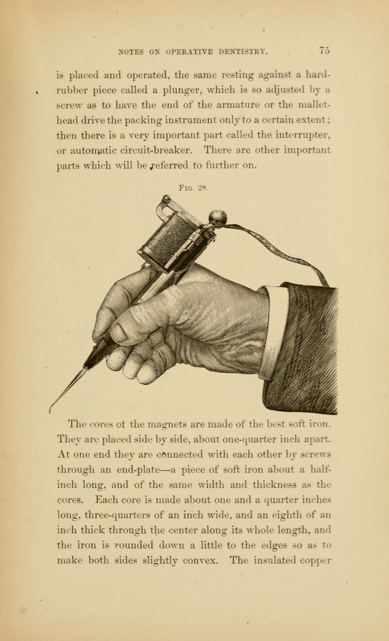 is placed and operated, the same resting against a hard- rubber piece called a plunger, which is so adjusted by a screw as to have the end of the armature or the mallet- head drive the packing instrument only to a certain extent ; then there is a very important part called the interrupter, or autonvatic circuit-breaker. There are other important parts which will be preferred to further on. Fig. 2s. The cores ol the magnets are made of the best soft iron. They are placed side by side, about one-C|uarter inch apart. At one end they are connected with each other by screws through an end-plate—a piece of soft iron about a halt- inch long, and of the same width and thickness as the cores. Each core is made about one and a quarter inches long, three-quarters of an inch wide, and an eighth of an inch thick through the center along its whole length, and the iron is rounded down a little to the edges so as to make both sides slightly convex. The insulated copper