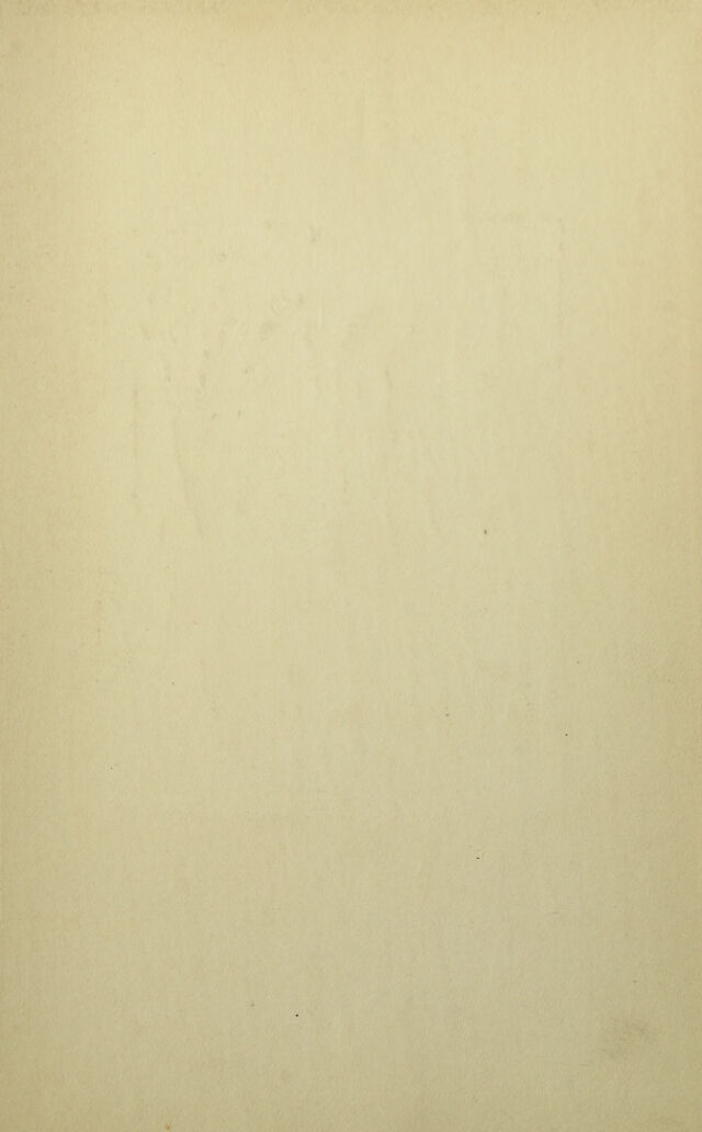 digitised image 3