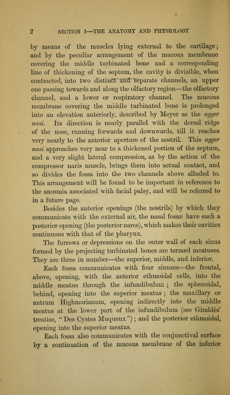 by means of the muscles lying external to the cartilage; and by the peculiar arrangement of the mucous membrane covering the middle turbinated bone and a coiTesponding line of thickening of the septum, the cavity is divisible, when contracted, into two distinct^aM^S'eparate channels, an upper one passing towards and along the olfactory region—the olfactory channel, and a lower or respiratory channel. The mucous membrane covering the middle turbinated bone is prolonged into an elevation anteriorly, described by Meyer as the agger nasi. Its direction is nearly parallel with the dorsal ridge of the nose, running forwards and downwards, till it reaches very nearly to the anterior aperture of the nostril. This agger nasi approaches very near to a thickened portion of the septum, and a very slight lateral compression, as by the action of the compressor naris muscle, brings them into actual contact, and so divides the fossa into the two channels above alluded to. This arrangement will be found to be important in reference to the anosmia associated with facial palsy, and will be referred to in a future page. Besides the anterior openings (the nostrils) by which they communicate with the external air, the nasal fossae have each a posterior opening (the posterior nares), which makes their cavities continuous with that of the pharynx. The furrows or depressions on the outer wall of each sinus formed by the projecting turbinated bones are termed meatuses. They are three in number—the superior, middle, and inferior. . Each fossa communicates with four sinuses—the frontal, .above, opening, with the anterior ethmoidal cells, into the middle meatus through the infundibulum ; the sphenoidal, behind, opening into the superior meatus ; the maxillary or antrum Highmorianum, opening indirectly into the middle meatus at the lower part of the infundibulum (see Giraldes' treatise,  Des Cystes Muqueux ); and the posterior ethmoidal, opening into the superior meatus. Each fossa also communicates with the conjunctival surface by a continuation of the mucous membrane of the inferior