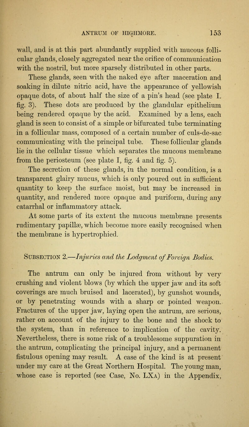 wall, and is at this part abundantly supplied with mucous folli- cular glands, closely aggregated near the orifice of communication with the nostril, but more sparsely distributed in other parts. These glands, seen with the naked eye after maceration and soaking in dilute nitric acid, have the appearance of yellowish opaque dots, of about half the size of a pin's head (see plate I. fig. 3). These dots are produced by the glandular epithelium being rendered opaque by the acid. Examined by a lens, each gland is seen to consist of a simple or bifurcated tube terminating in a follicular mass, composed of a certain number of culs-de-sac communicating mth the principal tube. These follicular glands lie in the cellular tissue which separates the mucous membrane from the periosteum (see plate I, fig. 4 and fig. 5). The secretion of these glands, in the normal condition, is a transparent glairy mucus, which is only poured out in sufiicient quantity to keep the surface moist, but may be increased in quantity, and rendered more opaque and puriform,,during any catarrhal or inflammatory attack. At some parts of its extent the mucous membrane presents rudimentary papillse, which become more easily recognised when the membrane is hypertrophied. Subsection 2.—Injuries and the Lodgment of Foreign Bodies. The antrum can only be injured from without by very crushing and violent blows (by which the upper jaw and its soft coverings are much bruised and lacerated), by gunshot wounds, or by penetrating wounds with a sharp or pointed weapon. Fractures of the upper jaw, laying open the antrum, are serious, rather on account of the injury to the bone and the shock to the system, than in reference to implication of the cavity. Nevertheless, there is some risk of a troublesome suppuration in the antrum, complicating the principal injury, and a permanent fistulous opening may result. A case of the kind is at present under my care at the Great Northern Hospital. The young man, whose case is reported (see Case, No. LXa) in the Appendix,