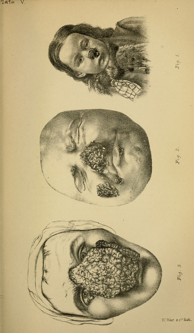 ^^:^'W- '^ CO V>'. 'A'est. & 0 T Hth: