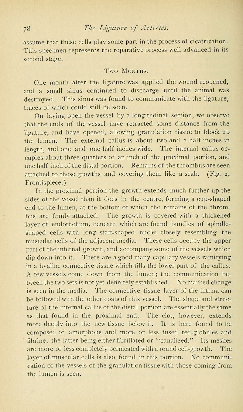 assume that these cells play some part in the process of cicatrization. This specimen represents the reparative process well advanced in its second stage. Two Months. One month after the ligature was applied the wound reopened, and a small sinus continued to discharge until the animal was destroyed. This sinus was found to communicate with the ligature, traces of which could still be seen. On laying open the vessel by a longitudinal section, we observe that the ends of the vessel have retracted some distance from the ligature, and have opened, allowing granulation tissue to block up the lumen. The external callus is about two and a half inches in length, and one and one half inches wide. The internal callus oc- cupies about three quarters of an inch of the proximal portion, and one half inch of the distal portion. Remains of the thrombus are seen attached to these growths and covering them like a scab. (Fig. 2, Frontispiece.) In the proximal portion the growth extends much further up the sides of the vessel than it does in the centre, forming a cup-shaped end to the lumen, at the bottom of which the remains of the throm- bus are firmly attached. The growth is covered with a thickened layer of endothelium, beneath which are found bundles of spindle- shaped cells with long staff-shaped nuclei closely resembling the muscular cells of the adjacent media. These cells occupy the upper part of the internal growth, and accompany some of the vessels which dip down into it. There are a good many capillary vessels ramifying in a hyaline connective tissue which fills the lower part of the callus. A few vessels come down from the lumen; the communication be- tween the two sets is not yet definitely established. No marked change is seen in the media. The connective tissue layer of the intima can be followed with the other coats of this vessel. The shape and struc- ture of the internal callus of the distal portion are essentially the same as that found in the proximal end. The clot, however, extends more deeply into the new tissue below it. It is here found to be composed of amorphous and more or less fused red-globules and fibrine; the latter being either fibrillated or canalized. Its meshes are more or less completely permeated with a round cell-growth. The layer of muscular cells is also found in this portion. No communi- cation of the vessels of the granulation tissue with those coming from the lumen is seen.