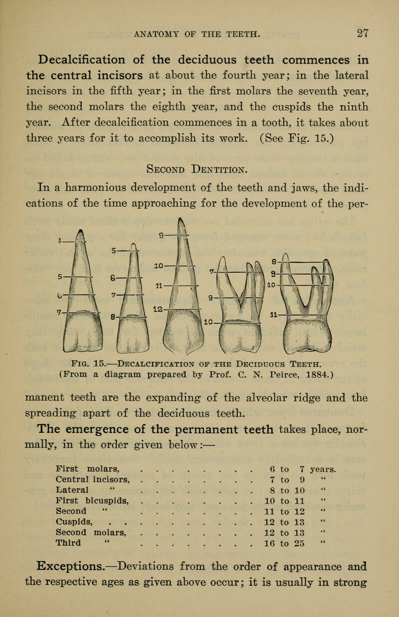 Decalcification of the deciduous teeth commences in the central incisors at about the fourth year; in the lateral incisors in the fifth year; in the first molars the seventh year, the second molars the eighth year, and the cuspids the ninth year. After decalcification commences in a tooth, it takes about three years for it to accomplish its work. (See Fig. 15.) Second Dentition. In a harmonious development of the teeth and jaws, the indi- cations of the time approaching for the development of the per- II I'll II »!)■!» Fig. 15.—Decalcification of the Deciduous Teeth. (From a diagram prepared by Prof. C. N. Teirce, 1884.) manent teeth are the expanding of the alveolar ridge and the spreading apart of the deciduous teeth. The emergence of the permanent teeth takes place, nor- mally, in the order given below:— First molars, 6 to 7 years. Central incisors, 7 to 9  Lateral  8 to 10  First bicuspids, 10 to 11 Second  11 to 12 Cuspids 12 to 13 Second molars, 12 to 13 Third  16 to 25 Exceptions.—Deviations from the order of appearance and the respective ages as given above occur; it is usually in strong