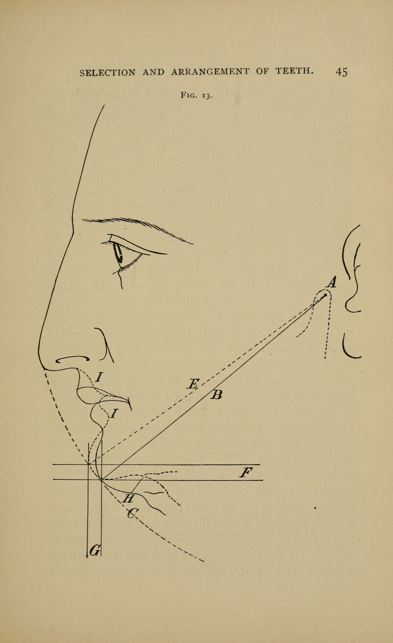 Fig. 13.