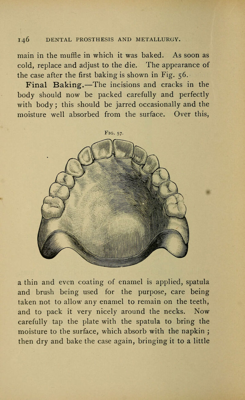 main in the muffle in which it was baked. As soon as cold, replace and adjust to the die. The appearance of the case after the first baking is shown in Fig. 56. Final Baking.—The incisions and cracks in the body should now be packed carefully and perfectly with body; this should be jarred occasionally and the moisture well absorbed from the surface. Over this, Fig. 57. a thin and even coating of enamel is applied, spatula and brush being used for the purpose, care being taken not to allow any enamel to remain on the teeth, and to pack it very nicely around the necks. Now carefully tap the plate with the spatula to bring the moisture to the surface, which absorb with the napkin ; then dry and bake the case again, bringing it to a little