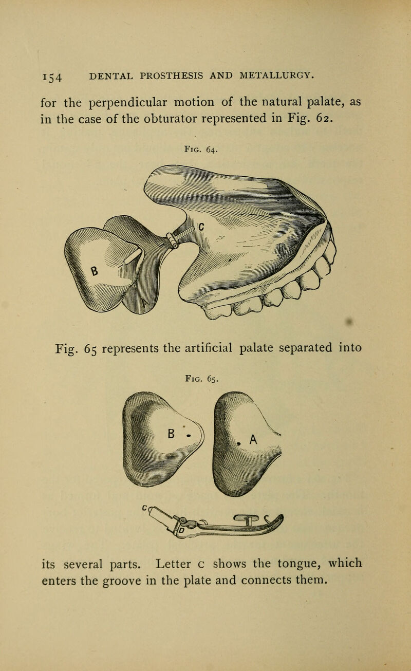 for the perpendicular motion of the natural palate, as in the case of the obturator represented in Fig. 62. Fig. 64. Fig. 65 represents the artificial palate separated into Fig. 65. its several parts. Letter c shows the tongue, which enters the groove in the plate and connects them.