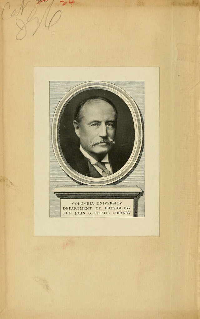 digitised image 2