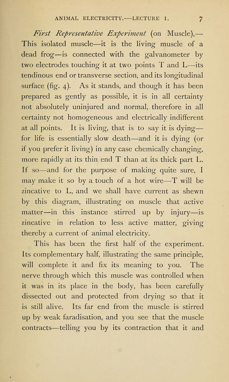 First Representative Experiment (on Muscle),— This isolated muscle—it is the living muscle of a dead frog—is connected with the galvanometer by two electrodes touching it at two points T and L—its tendinous end or transverse section, and its longitudinal surface (fig. 4). As it stands, and though it has been prepared as gently as possible, it is in all certainty not absolutely uninjured and normal, therefore in all certainty not homogeneous and electrically indifferent at all points. It is living, that is to say it is dying— for life is essentially slow death—and it is dying (or if you prefer it living) in any case chemically changing, more rapidly at its thin end T than at its thick part L. If so—and for the purpose of making quite sure, I may make it so by a touch of a hot wire—T will be zincative to L, and we shall have current as shewn by this diagram, illustrating on muscle that active matter—in this instance stirred up by injury—is zincative in relation to less active matter, giving thereby a current of animal electricity. This has been the first half of the experiment. Its complementary half, illustrating the same principle, will complete it and fix its meaning to you. The nerve throus^h which this muscle was controlled when it was in its place in the body, has been carefully dissected out and protected from drying so that it is still alive. Its far end from the muscle is stirred up by weak faradisation, and you see that the muscle contracts—telling you by its contraction that it and