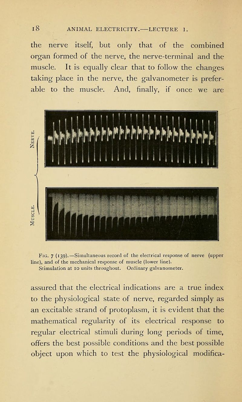 the nerve itself, but only that of the combined organ formed of the nerve, the nerve-terminal and the muscle. It is equally clear that to follow the changes taking place in the nerve, the galvanometer is prefer- able to the muscle. And, finally, if once we are PS / '' • kyjkiyjiik^kwyiiijikLLLi, TiOi'imn 1 i l 11 1 1 1 f-llf^ I \ Fig. 7 (139).—Simultaneous record of the electrical response of nerve (upper line), and of the mechanical response of muscle (lower line). Stimulation at 10 units throughout. Ordinary galvanometer. assured that the electrical indications are a true index to the physiological state of nerve, regarded simply as an excitable strand of protoplasm, it is evident that the mathematical regularity of its electrical response to regular electrical stimuli during long periods of time, offers the best possible conditions and the best possible object upon which to test the physiological modifica-