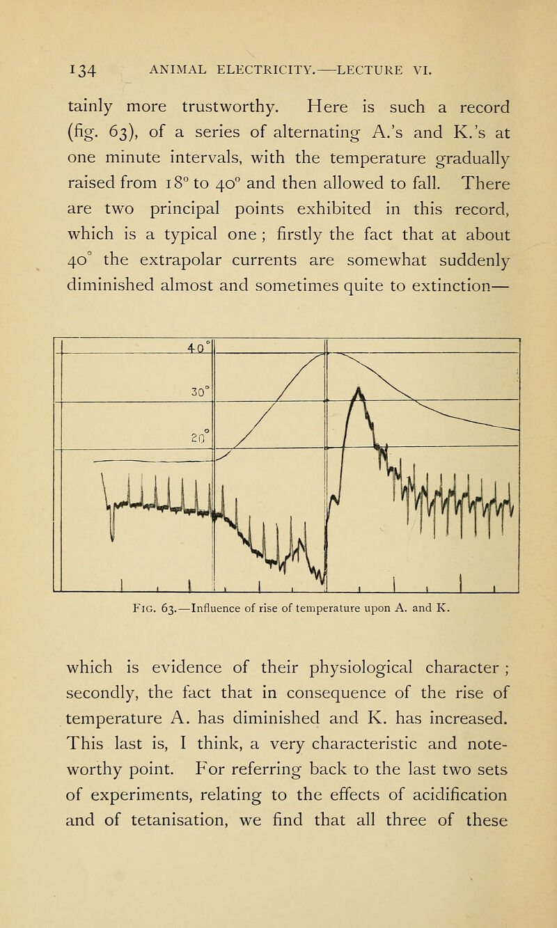 tainly more trustworthy. Here is such a record (fig. 63), of a series of alternating A.'s and K.'s at one minute intervals, with the temperature gradually raised from 18° to 40° and then allowed to fall. There are two principal points exhibited in this record, which is a typical one ; firstly the fact that at about 40° the extrapolar currents are somewhat suddenly diminished almost and sometimes quite to extinction— EiG. 63.—Influence of rise of temperature upon A. and K. which is evidence of their physiological character ; secondly, the fact that in consequence of the rise of temperature A. has diminished and K. has increased. This last is, I think, a very characteristic and note- worthy point. For referring back to the last two sets of experiments, relating to the effects of acidification and of tetanisation, we find that all three of these