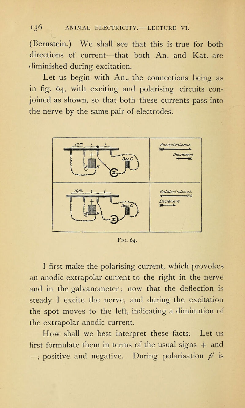 (Bernstein.) We shall see that this is true for both directions of current—that both An. and Kat. are diminished during excitation. Let us begin with An., the connections being as in fig. 64, with exciting and polarising circuits con- joined as shown, so that both these currents pass into the nerve by the same pair of electrodes. lam I I icm. I I Fig. 64. AnelecCroConus. Ka. CelecCroConus. < mi I first make the polarising current, which provokes an anodic extrapolar current to the right in the nerve and in the galvanometer; now that the deflection is steady I excite the nerve, and during the excitation the spot moves to the left, indicating a diminution of the extrapolar anodic current. How shall we best interpret these facts. Let us first formulate them in terms of the usual signs + and —, positive and negative. During polarisation p' is