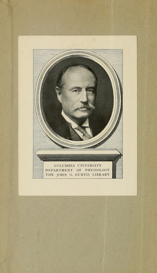 digitised image 2