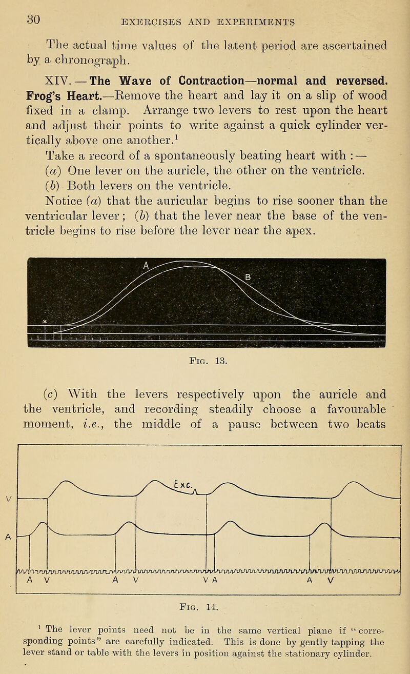 The actual time values of the latent period are ascertained by a chronograph. XIV. — The Wave of Contraction—normal and reversed. Frog's Heart.—Kemove the heart and lay it on a slip of wood fixed in a clamp. Arrange two levers to rest upon the heart and adjust their points to write against a quick cylinder ver- tically above one another.^ Take a record of a spontaneously beating heart with : — (a) One lever on the auricle, the other on the ventricle. (b) Both levers on the ventricle. Notice (a) that the auricular begins to rise sooner than the ventricular lever; (6) that the lever near the base of the ven- tricle begins to rise before the lever near the apex. Pig. 13. (c) With the levers respectively upon the auricle and the ventricle, and recording steadily choose a favourable moment, i.e., the middle of a pause between two beats Fig. 14. ' The lever points need not be in the same vertical plane if  corre- sponding points are carefully indicated. This is done by gently tapping the lever stand or table with the levers in position against the stationary cylinder.