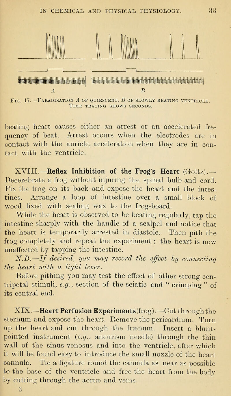 A B Fig. 17.--Faradisation A of quiescent, B of slowly beating ventricle. Time tracing shows seconds. beating heart causes either an arrest or an accelerated fre- quency of beat. Arrest occurs when the electrodes are in contact with the auricle, acceleration when they are in con- tact with the ventricle. XVIII.—Reflex Inhibition of the Frog's Heart (Goltz).— Decerebrate a frog without injuring the spnial bulb and cord. Fix the frog on its back and expose the heart and the intes- tines. Arrange a loop of intestine over a small block of wood fixed with sealing wax to the frog-board. While the heart is observed to be beating regularly, tap the intestine sharply with the handle of a scalpel and notice that the heart is temporarily arrested in diastole. Then pith the frog completely and repeat the experiment ; the heart is now unaffected by tapping the intestine. N.B.—If desired, you may record the effect by connectiiig the heart luith a light lever. Before pithing you may test the effect of other strong cen- tripetal stimuli, e.g., section of the sciatic and  crimping  of its central end. XIX.—Heart Perfusion Experiments (frog).—Cut through the sternum and expose the heart. Eemove the pericardium. Turn up the heart and cut through the frsenum. Insert a blunt- pointed instrument {e.g., aneurism needle) through the thin wall of the sinus venosus and into the ventricle, after which it will be found easy to introduce the small nozzle of the heart cannula. Tie a ligature round the cannula as near as possible to the base of the ventricle and free the heart from the body by cutting through the aortEe and veins. 3