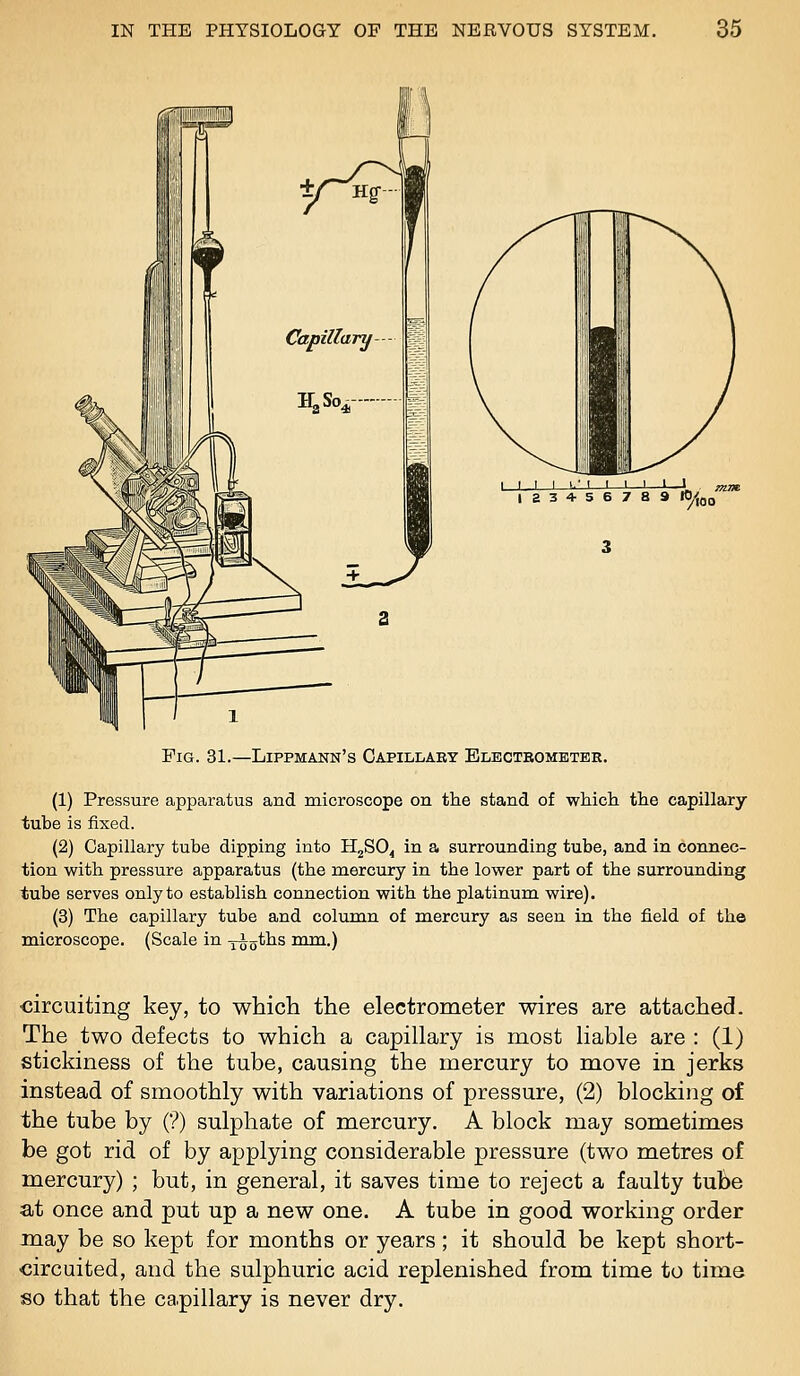 I I I I '■• I I I I 1 1 ;, 1334-56789 O/^^ Pig. 31.—Lippmann's Capillary Electrometer. (1) Pressure apparatus and microscope on the stand of whicli the capillary tube is fixed. (2) Capillary tube dipping into HgSO^ in a surrounding tube, and in connec- tion with pressure apparatus (the mercury in the lower part of the surrounding tube serves only to establish connection with the platinum wire). (3) The capillary tube and column of mercury as seen in the field of the microscope. (Scale in yi^jths mm.) circuiting key, to which the electrometer wires are attached. The two defects to which a capillary is most liable are : (1) stickiness of the tube, causing the mercury to move in jerks instead of smoothly with variations of pressure, (2) blocking of the tube by (?) sulphate of mercury. A block may sometimes be got rid of by applying considerable pressure (two metres of mercury) ; but, in general, it saves time to reject a faulty tube at once and put up a new one. A tube in good working order may be so kept for months or years; it should be kept short- circuited, and the sulphuric acid replenished from time to time so that the ca.pillary is never dry.