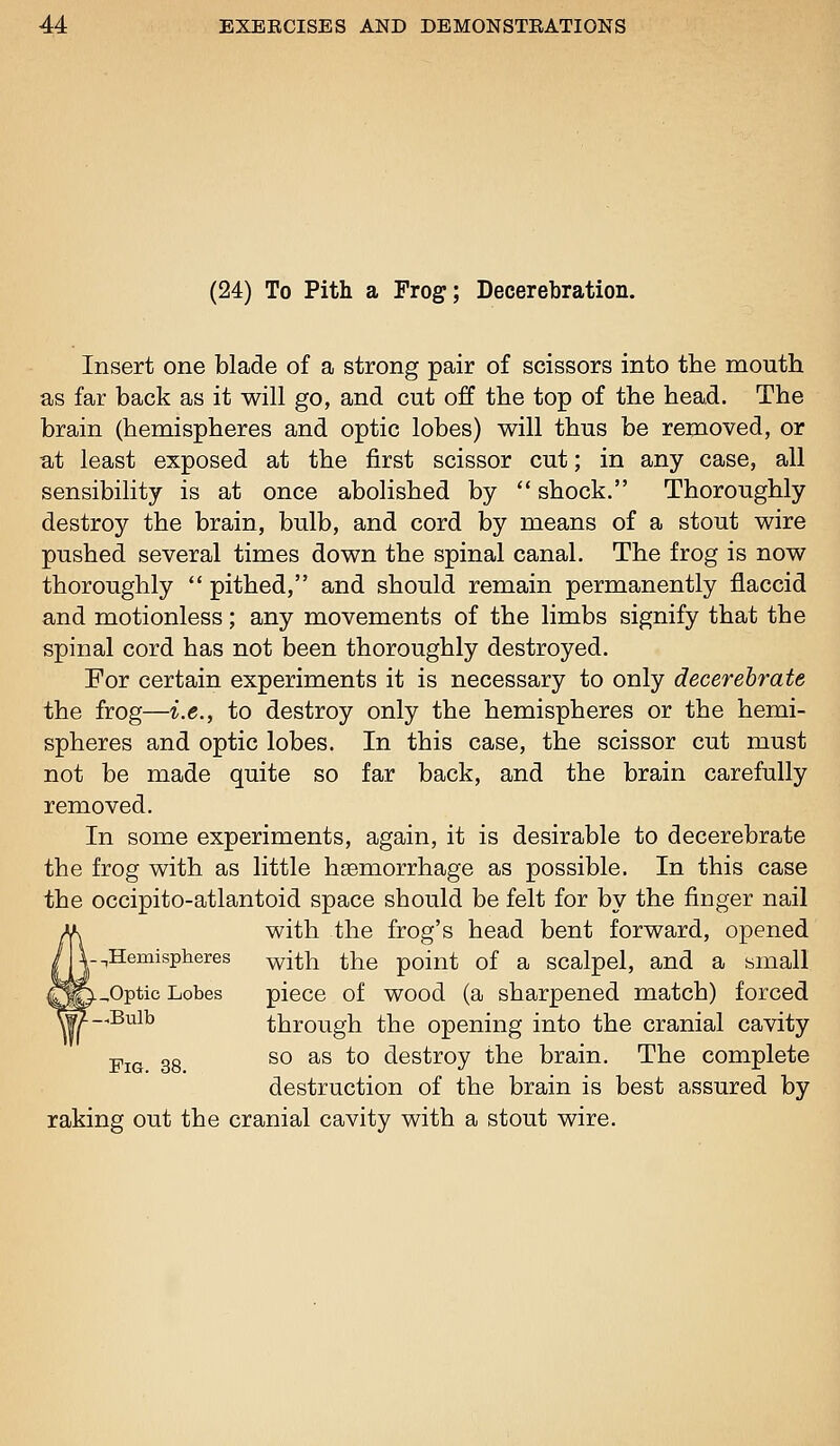 (24) To Pith a Frog; Decerebration. Insert one blade of a strong pair of scissors into the mouth as far back as it will go, and cut off the top of the head. The brain (hemispheres and optic lobes) will thus be removed, or at least exposed at the first scissor cut; in any case, all sensibility is at once abolished by  shock. Thoroughly destroy the brain, bulb, and cord by means of a stout wire pushed several times down the spinal canal. The frog is now thoroughly  pithed, and should remain permanently flaccid and motionless; any movements of the limbs signify that the spinal cord has not been thoroughly destroyed. For certain experiments it is necessary to only decerebrate the frog—i.e., to destroy only the hemispheres or the hemi- spheres and optic lobes. In this case, the scissor cut must not be made quite so far back, and the brain carefully removed. In some experiments, again, it is desirable to decerebrate the frog with as little haemorrhage as possible. In this case the occipito-atlantoid space should be felt for by the finger nail with the frog's head bent forward, opened ||--.Hemispheres ^ith the point of a scalpel, and a small L^Optic Lobes piece of wood (a sharpened match) forced ^^^^ through the opening into the cranial cavity ■pjg gg so as to destroy the brain. The complete destruction of the brain is best assured by raking out the cranial cavity with a stout wire.