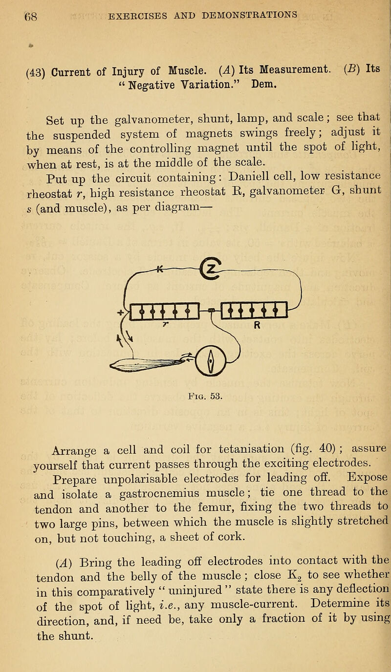 (43) Current of Injury of Muscle. (A) Its Measurement. (B) Its Negative Variation. Dem. Set up tbe galvanometer, shunt, lamp, and scale; see that the suspended system of magnets swings freely; adjust it by means of the controlling magnet until the spot of light, when at rest, is at the middle of the scale. Put up the circuit containing: Daniell cell, low resistance rheostat r, high resistance rheostat E, galvanometer G, shunt s (and muscle), as per diagram— Pig. 53. Arrange a cell and coil for tetanisation (fig. 40) ; assure yourself that current passes through the exciting electrodes. Prepare unpolarisable electrodes for leading off. Expose and isolate a gastrocnemius muscle; tie one thread to the tendon and another to the femur, fixing the two threads to two large pins, between which the muscle is slightly stretched on, but not touching, a sheet of cork. (A) Bring the leading off electrodes into contact with the tendon and the belly of the muscle ; close K^ to see whether in this comparatively  uninjured  state there is any deflection of the spot of Ught, i.e., any muscle-current. Determine its direction, and, if need be, take only a fraction of it by using the shunt.