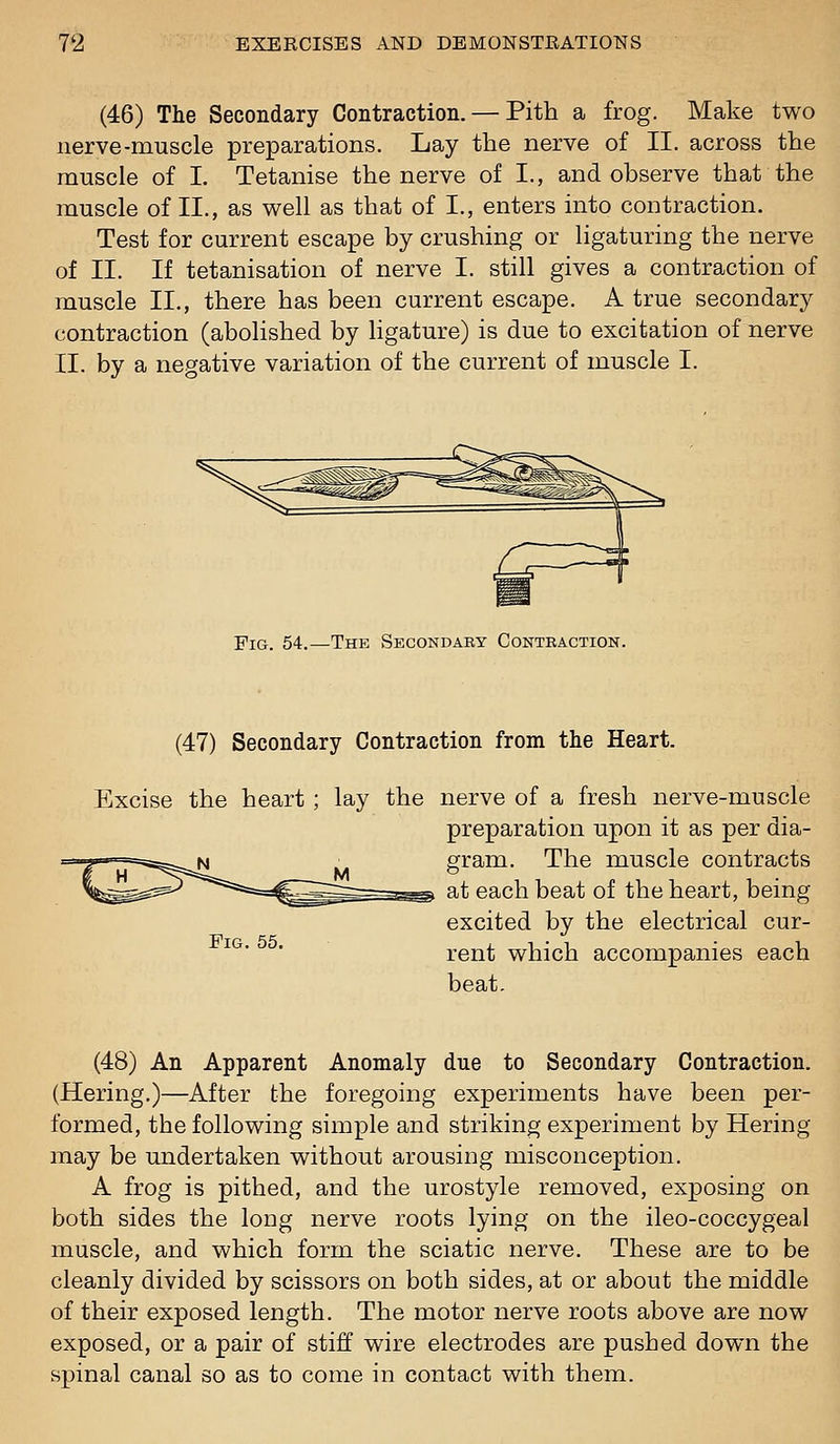 (46) The Secondary Contraction. — Pith a frog. Make two nerve-muscle preparations. Lay the nerve of II. across the muscle of I. Tetanise the nerve of I., and observe that the muscle of II., as well as that of I., enters into contraction. Test for current escape by crushing or ligaturing the nerve of II. If tetanisation of nerve I. still gives a contraction of muscle II., there has been current escape. A true secondary contraction (abolished by Hgature) is due to excitation of nerve II. by a negative variation of the current of muscle I. FiQ_ 54.—The Secondary Conteaction. (47) Secondary Contraction from the Heart, Excise the heart ; lay the Fig. 55, nerve of a fresh nerve-muscle preparation upon it as per dia- gram. The muscle contracts at each beat of the heart, being excited by the electrical cur- rent which accompanies each beat. (48) An Apparent Anomaly due to Secondary Contraction. (Hering.)—After the foregoing experiments have been per- formed, the following simple and striking experiment by Hering may be undertaken without arousing misconception. A frog is pithed, and the urostyle removed, exposing on both sides the long nerve roots lying on the ileo-coccygeal muscle, and which form the sciatic nerve. These are to be cleanly divided by scissors on both sides, at or about the middle of their exposed length. The motor nerve roots above are now exposed, or a pair of stiff wire electrodes are pushed down the spinal canal so as to come in contact with them.