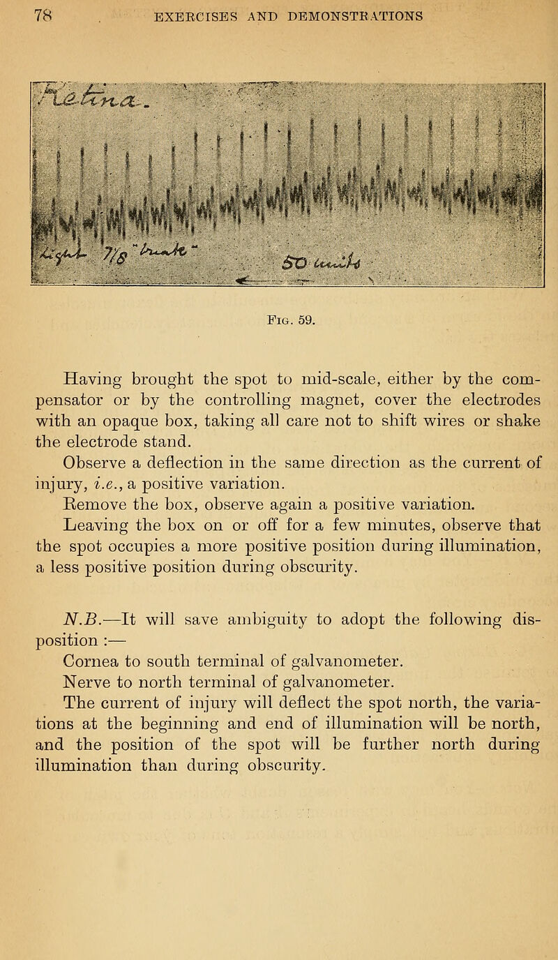 /J t y !■ Fig. 59. Having brought the spot to mid-scale, either by the com- pensator or by the controlHng magnet, cover the electrodes with an opaque box, taking all care not to shift wires or shake the electrode stand. Observe a deflection in the same direction as the current of injury, i.e., a positive variation. Remove the box, observe again a positive variation. Leaving the box on or off for a few minutes, observe that the spot occupies a more positive position during illumination, a less positive position during obscurity. N.B.—It will save ambiguity to adopt the following dis- position :— Cornea to south terminal of galvanometer. Nerve to north terminal of galvanometer. The current of injury will deflect the spot north, the varia- tions at the beginning and end of illumination will be north, and the position of the spot will be further north during illumination than during obscurity.