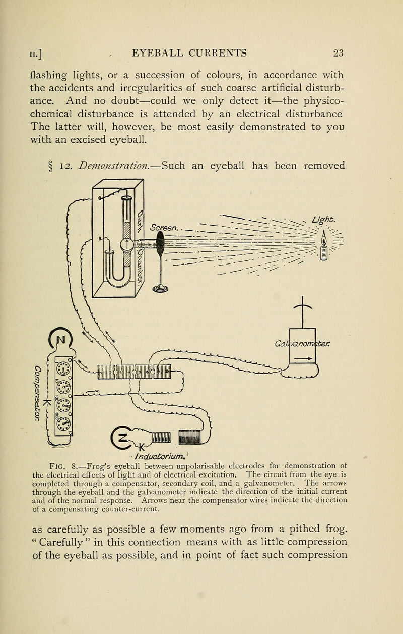 flashing lights, or a succession of colours, in accordance with the accidents and irregularities of such coarse artificial disturb- ance. And no doubt—could we only detect it—the physico- chemical disturbance is attended by an electrical disturbance The latter will, however, be most easily demonstrated to you with an excised eyeball. 12. Demonstration.—Such an eyeball has been removed 71 ■ Inductonum^' Fig. 8.—Frog's eyeball between unpolarisable electrodes for demonstration ot the electrical effects of light and of electrical excitation. The circuit from the eye is completed through a compensator, secondary coil, and a galvanometer. The arrows through the eyeball and the galvanometer indicate the direction of the initial current and of the normal response. Arrows near the compensator wires indicate the direction of a compensating counter-current. as carefully as possible a few moments ago from a pithed frog. Carefully in this connection means with as little compression of the eyeball as possible, and in point of fact such compression